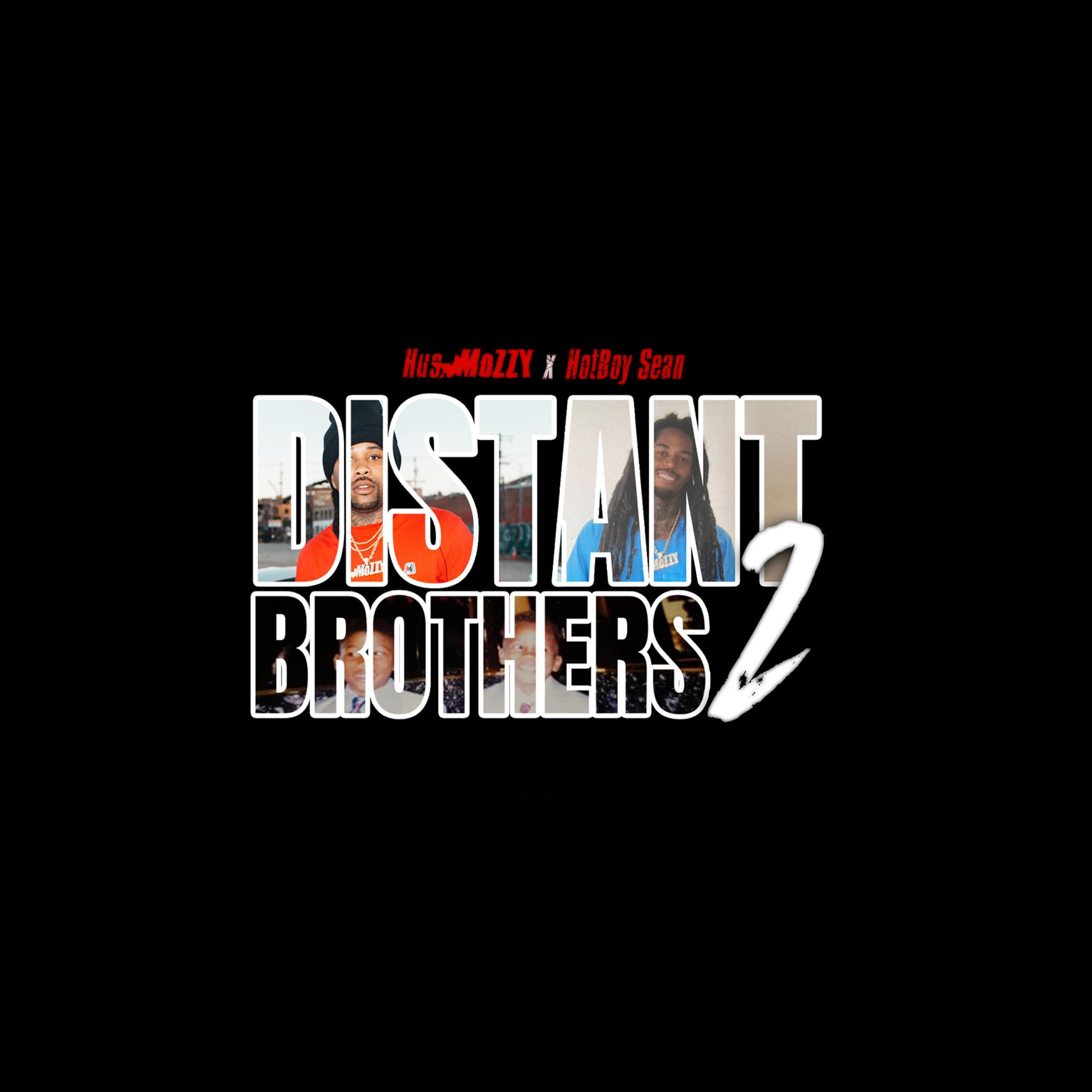 Постер альбома Distant Brothers 2