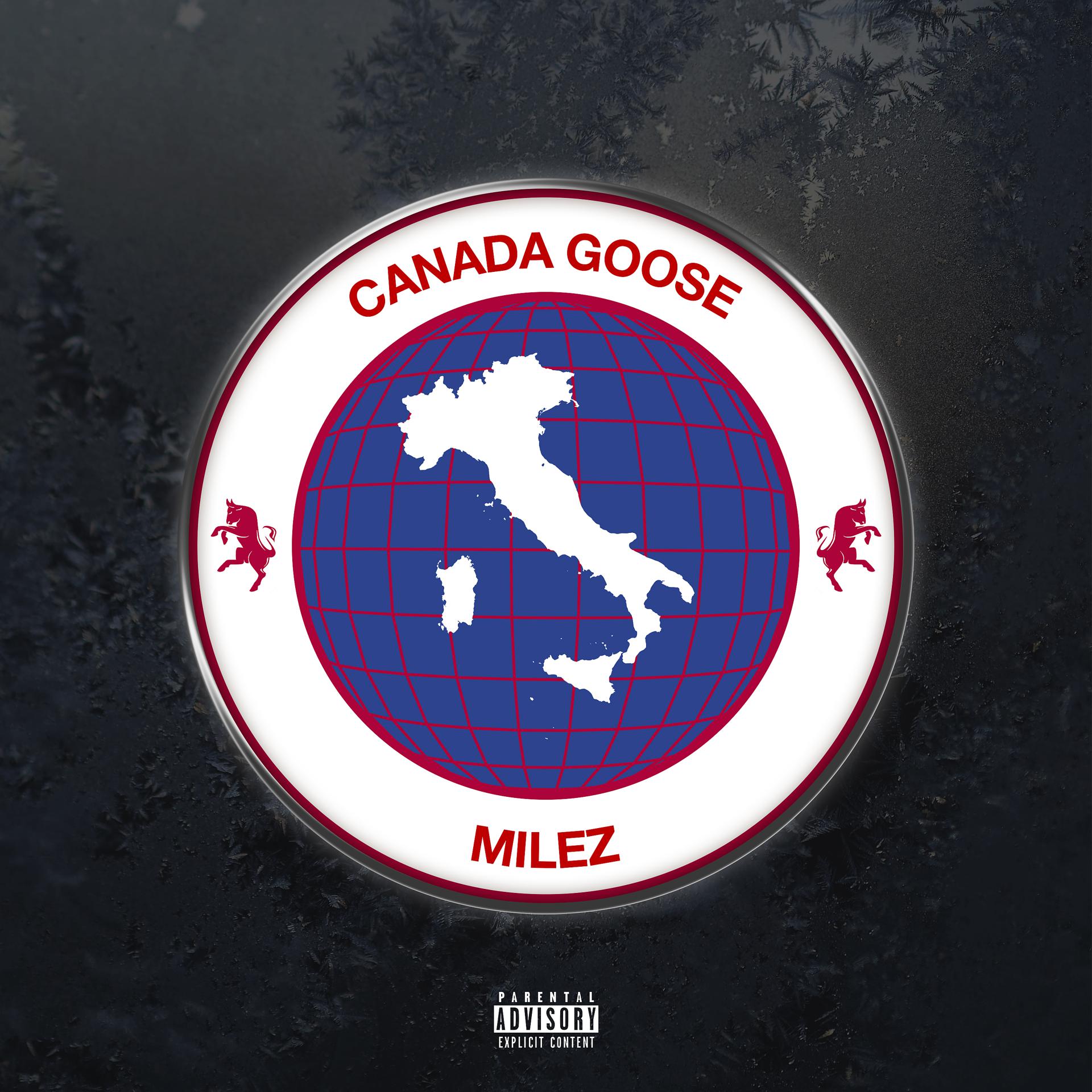 Постер альбома Canada Goose