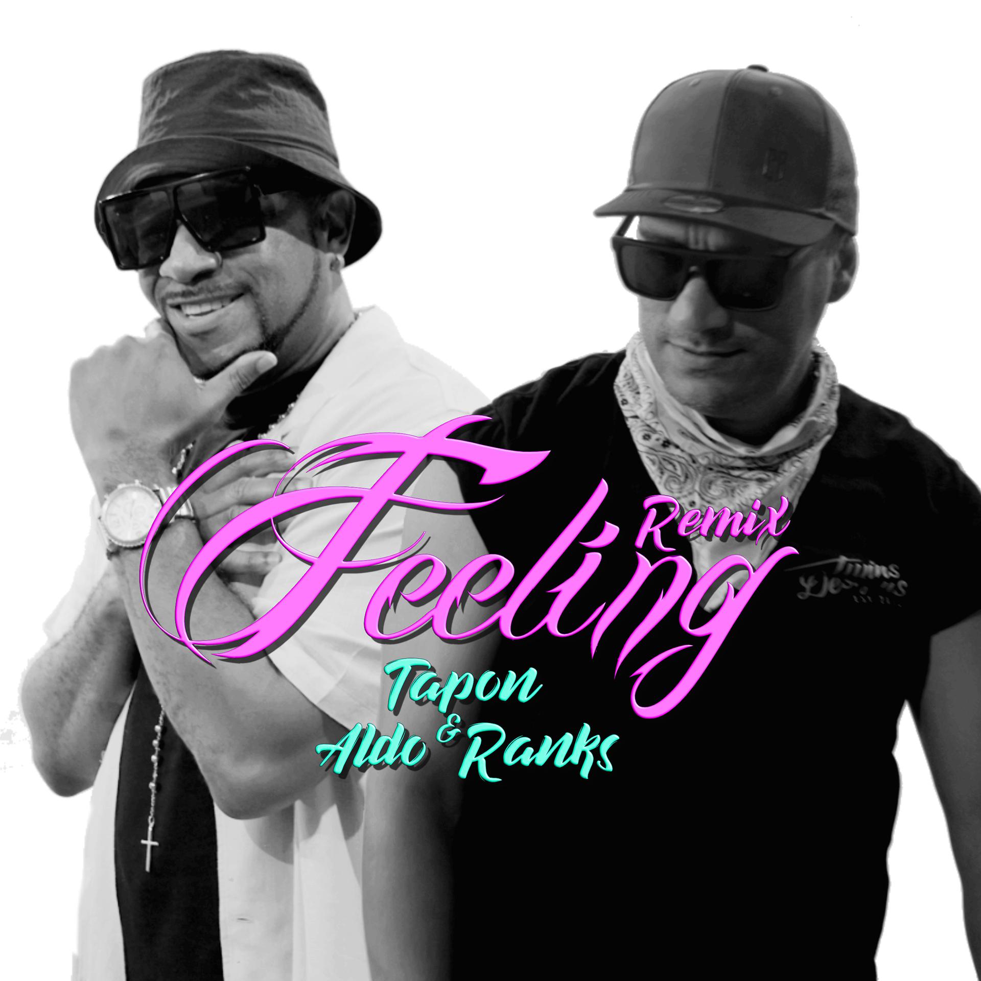 Постер альбома Feeling Remix