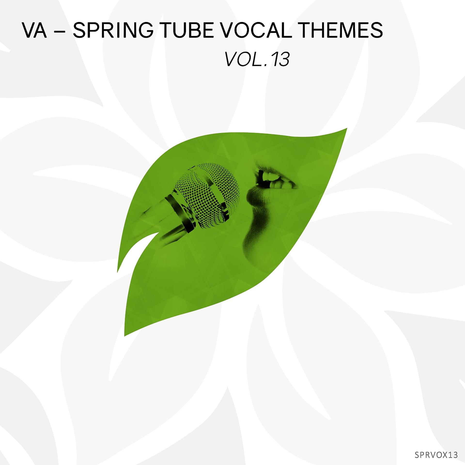 Постер альбома Spring Tube Vocal Themes, Vol.13