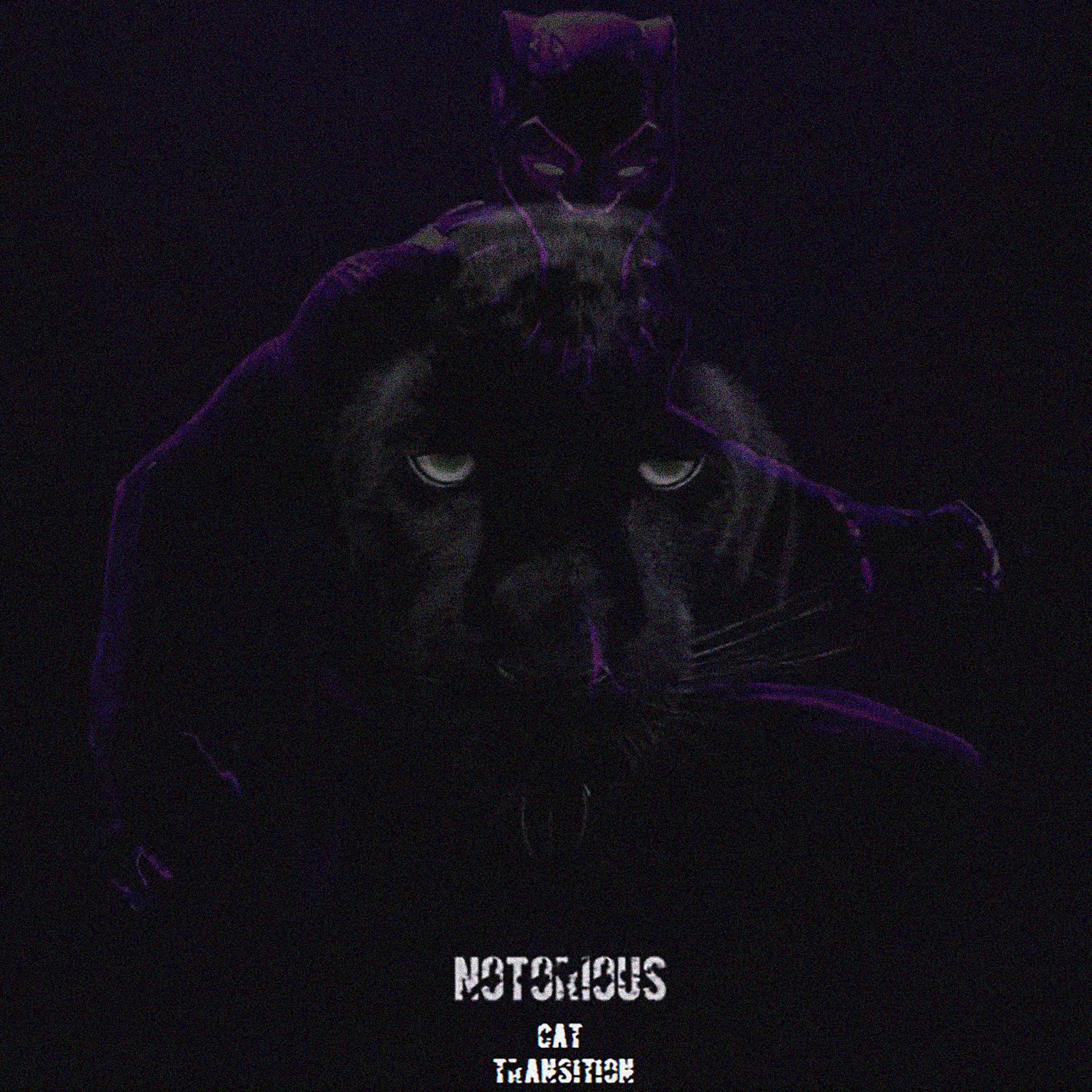 Постер альбома Notorious (Cat Transition)