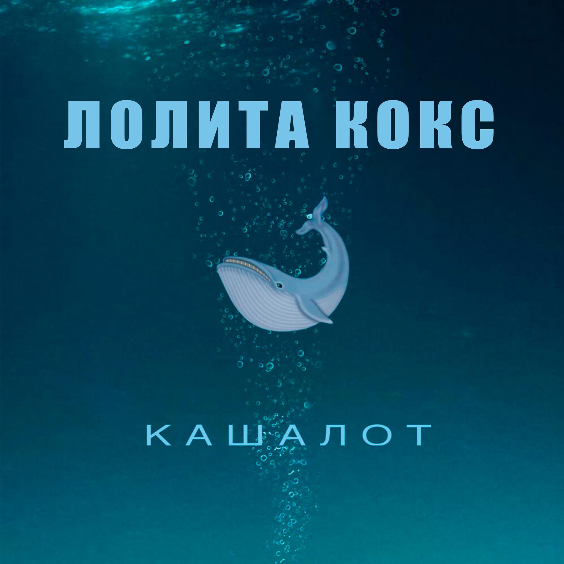 Постер альбома Кашалот