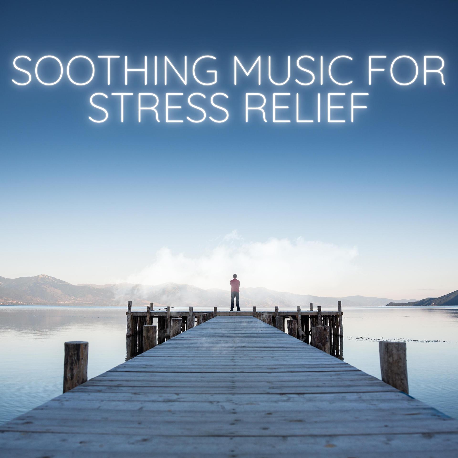 Постер альбома Soothing Music for Stress Relief