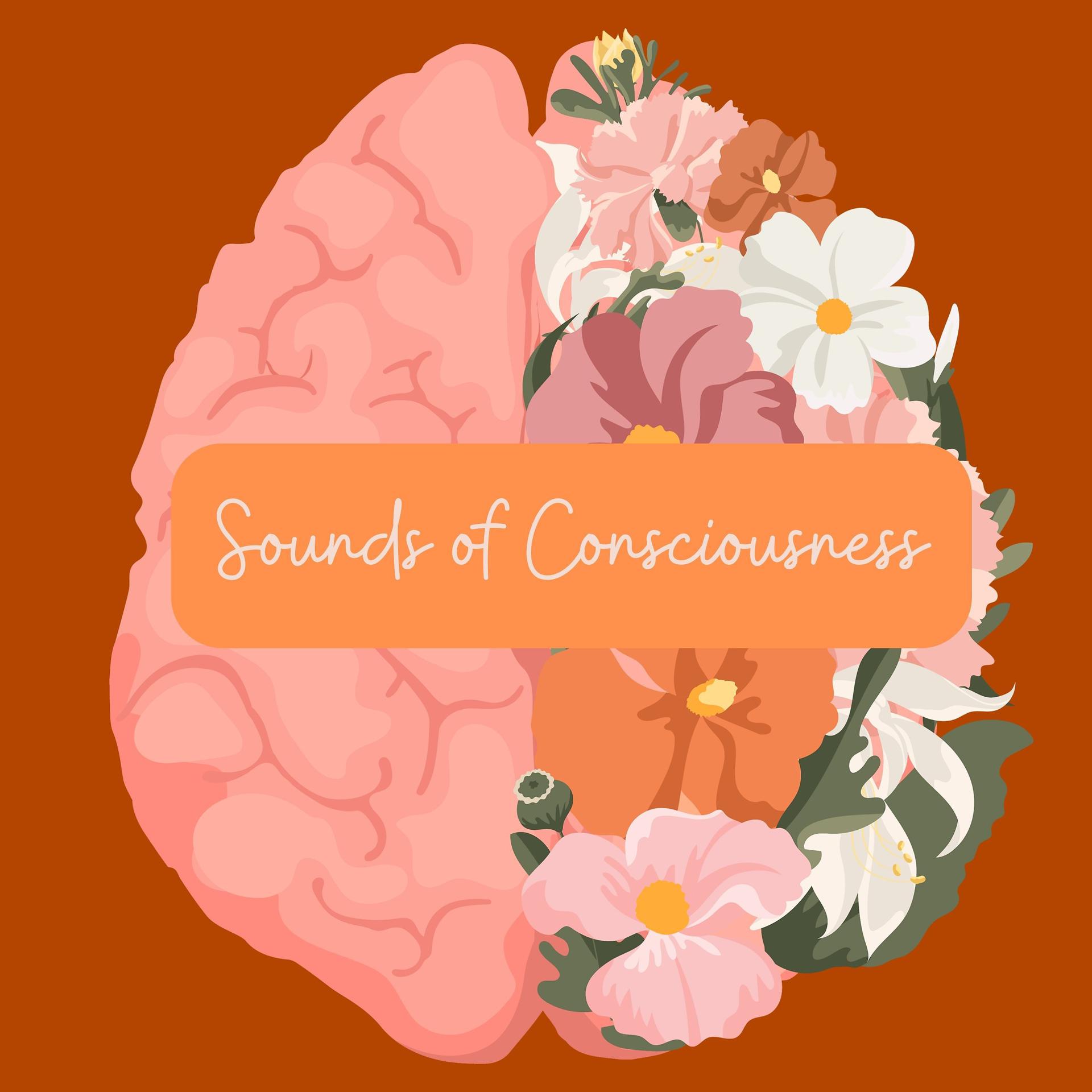 Постер альбома Sounds of Consciousness