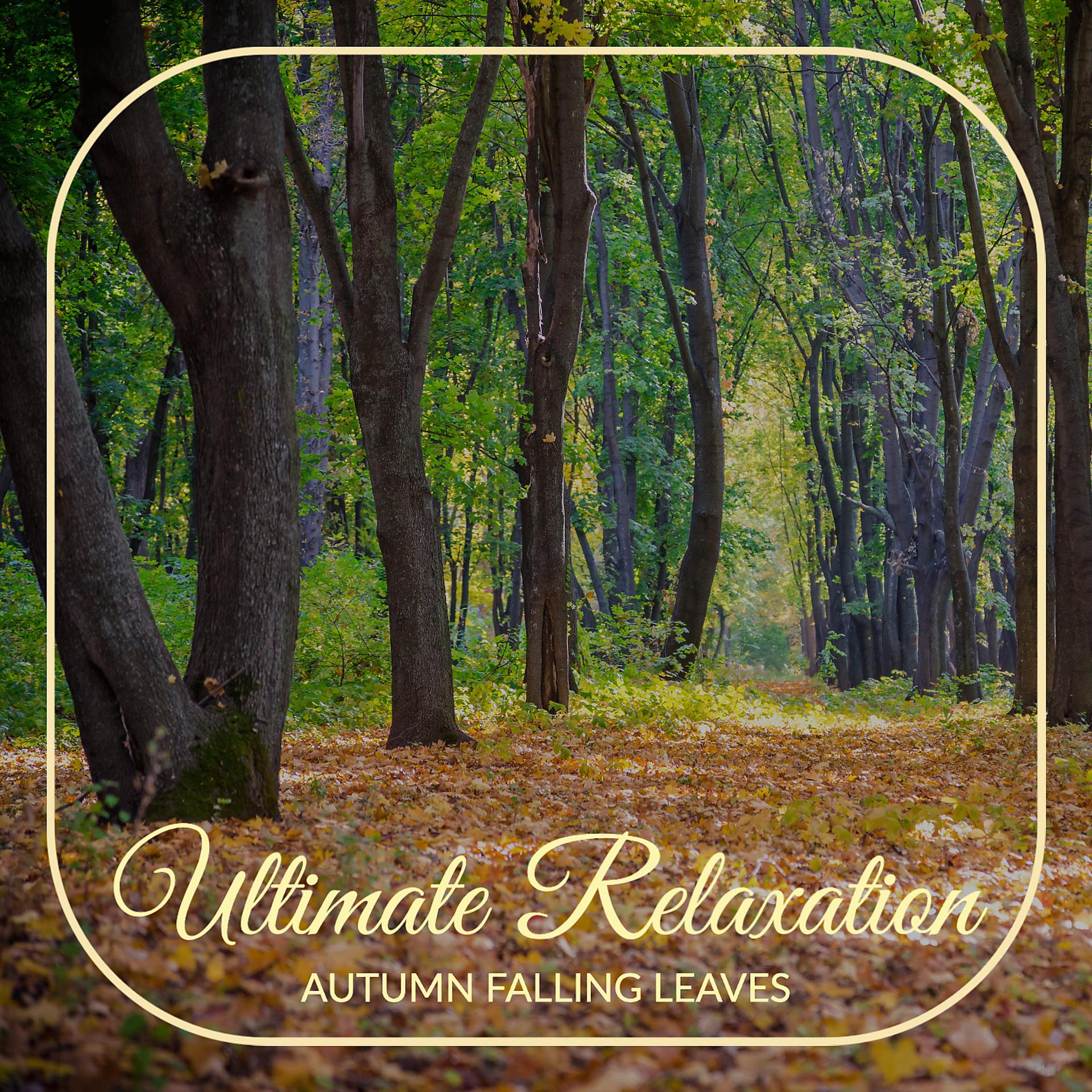 Постер альбома Autumn Falling Leaves