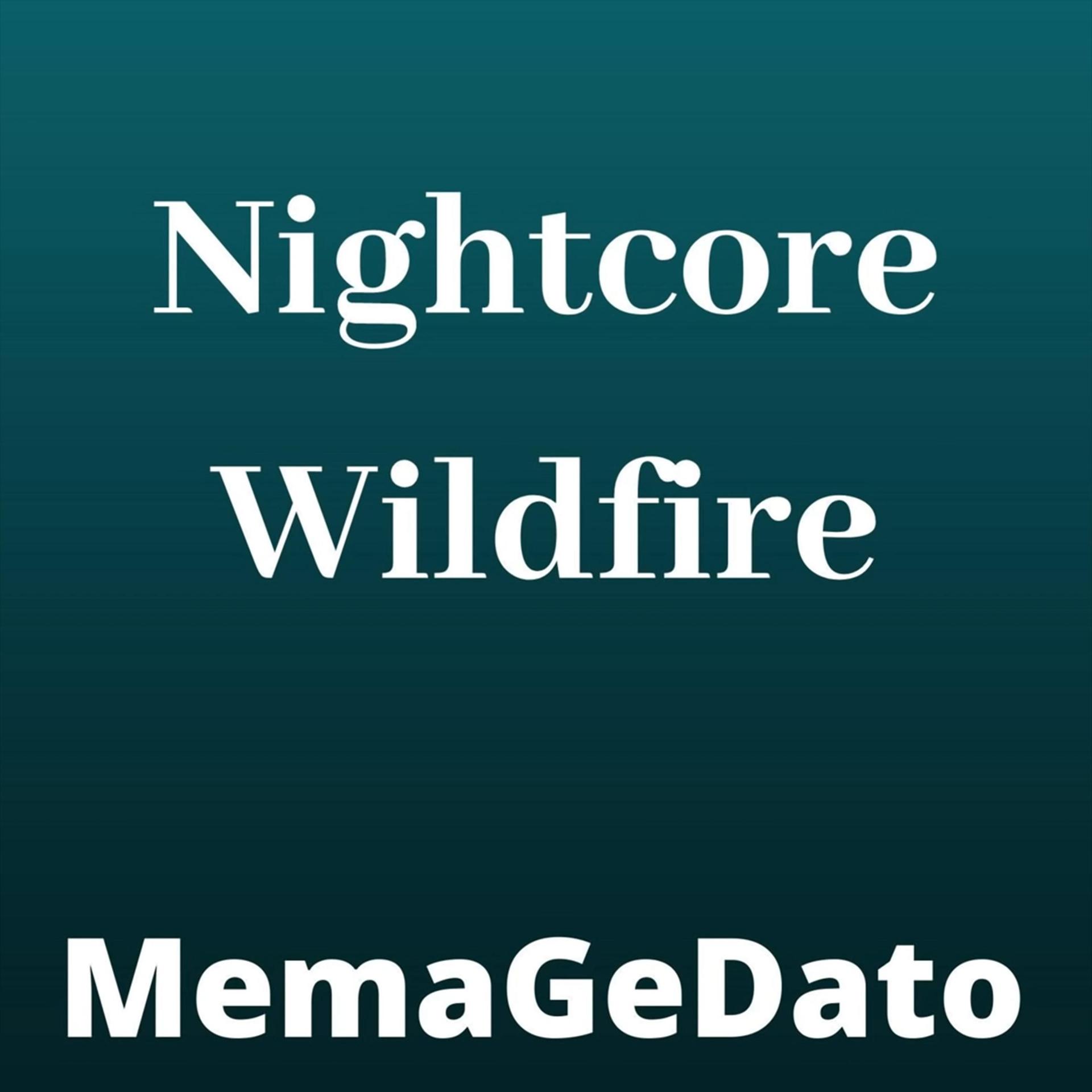 Постер альбома Nightcore Wildfire