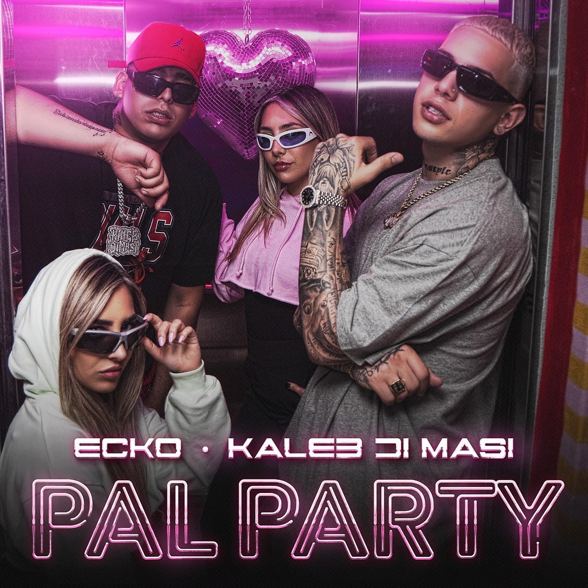 Постер альбома Pal Party