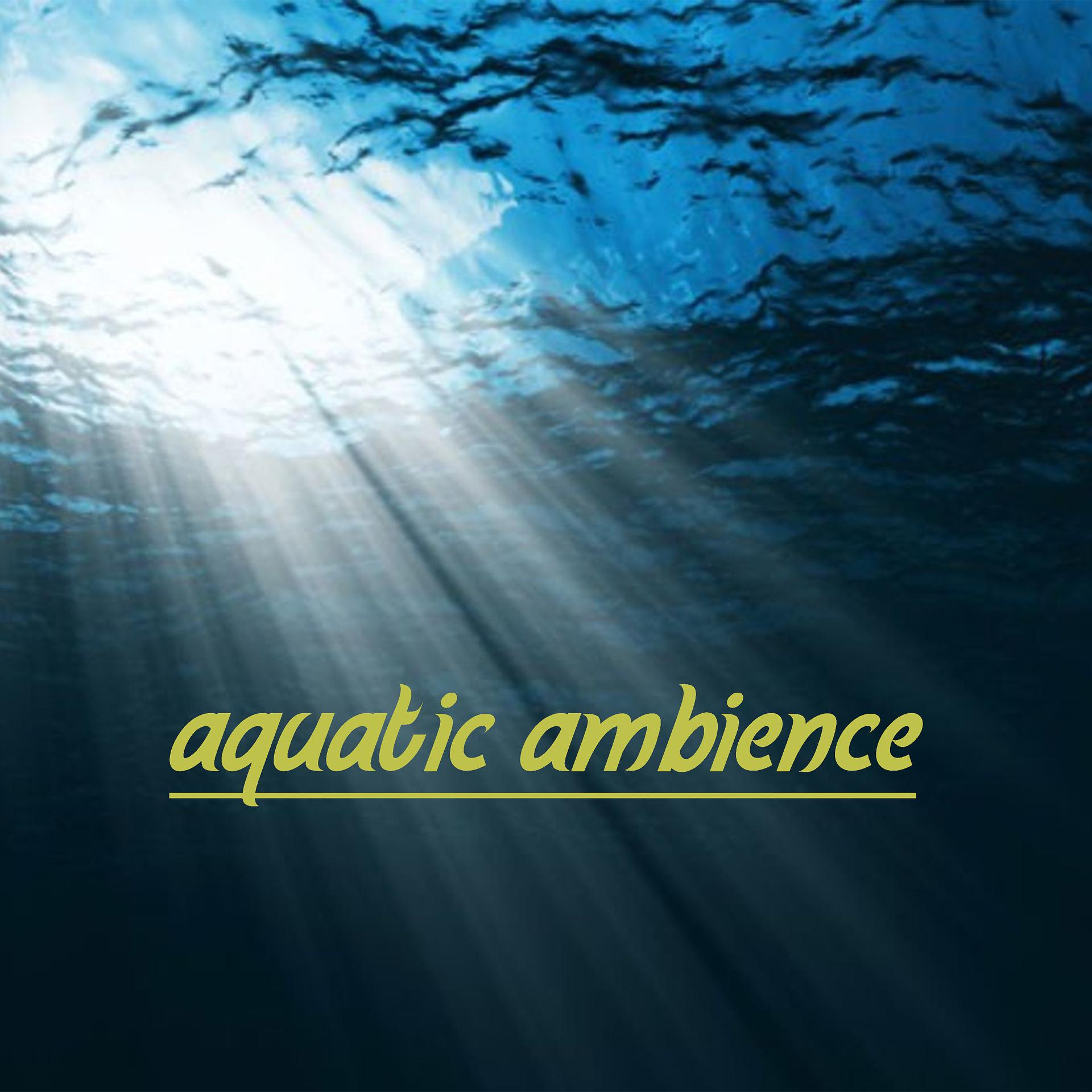 Постер альбома aquatic ambience