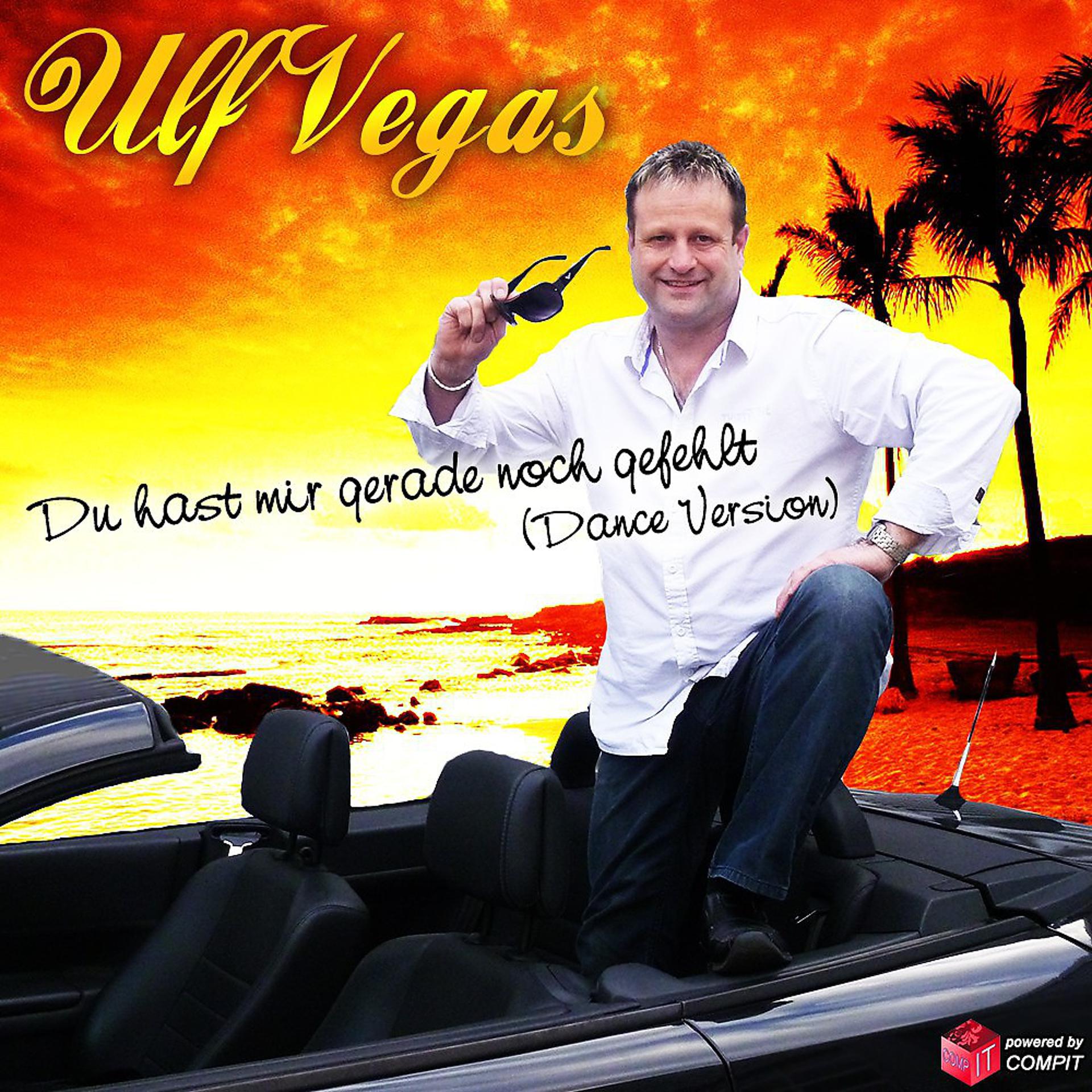 Постер альбома Du Hast Mir Gerade Noch Gefehlt (Dance Mix)