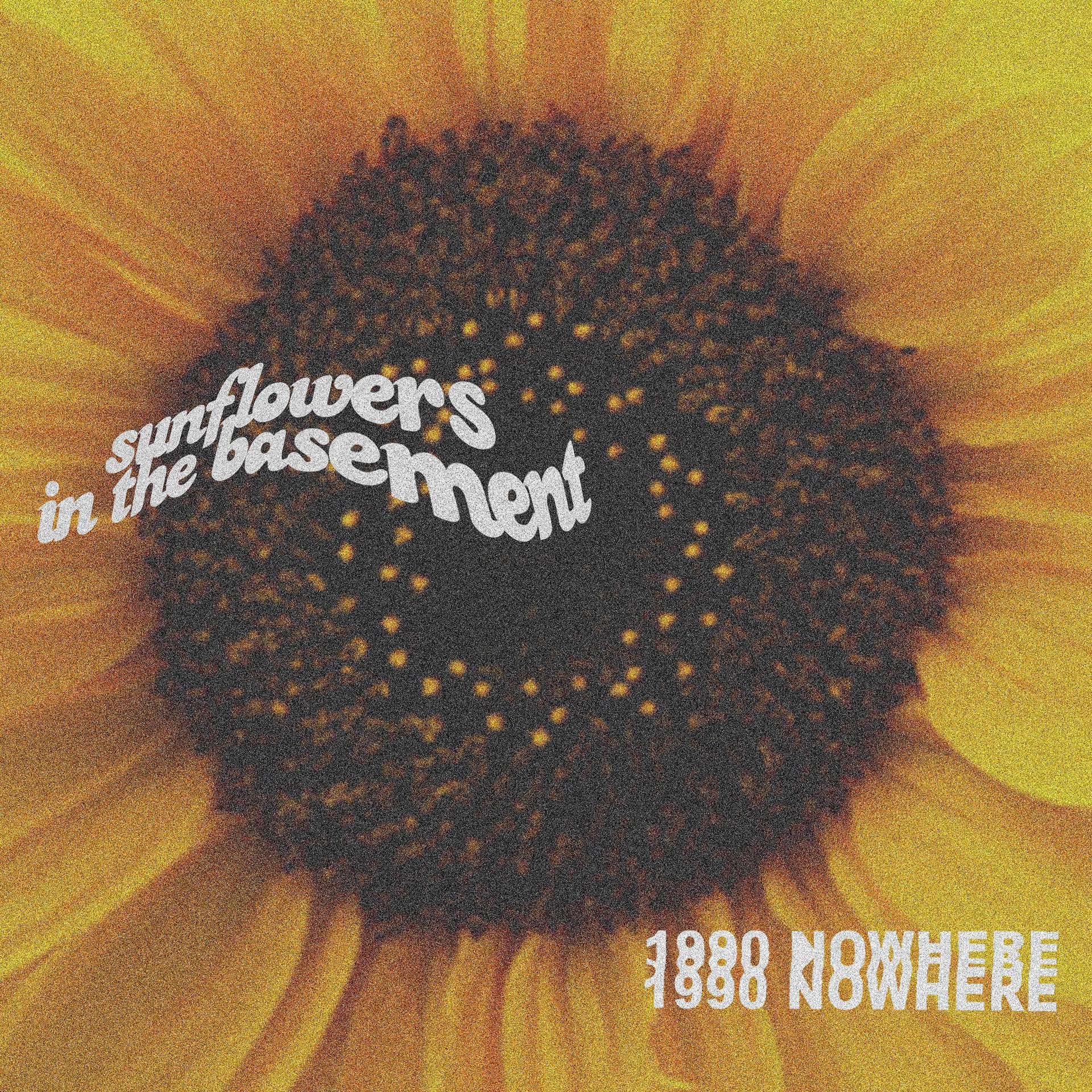 Постер альбома Sunflowers in the Basement