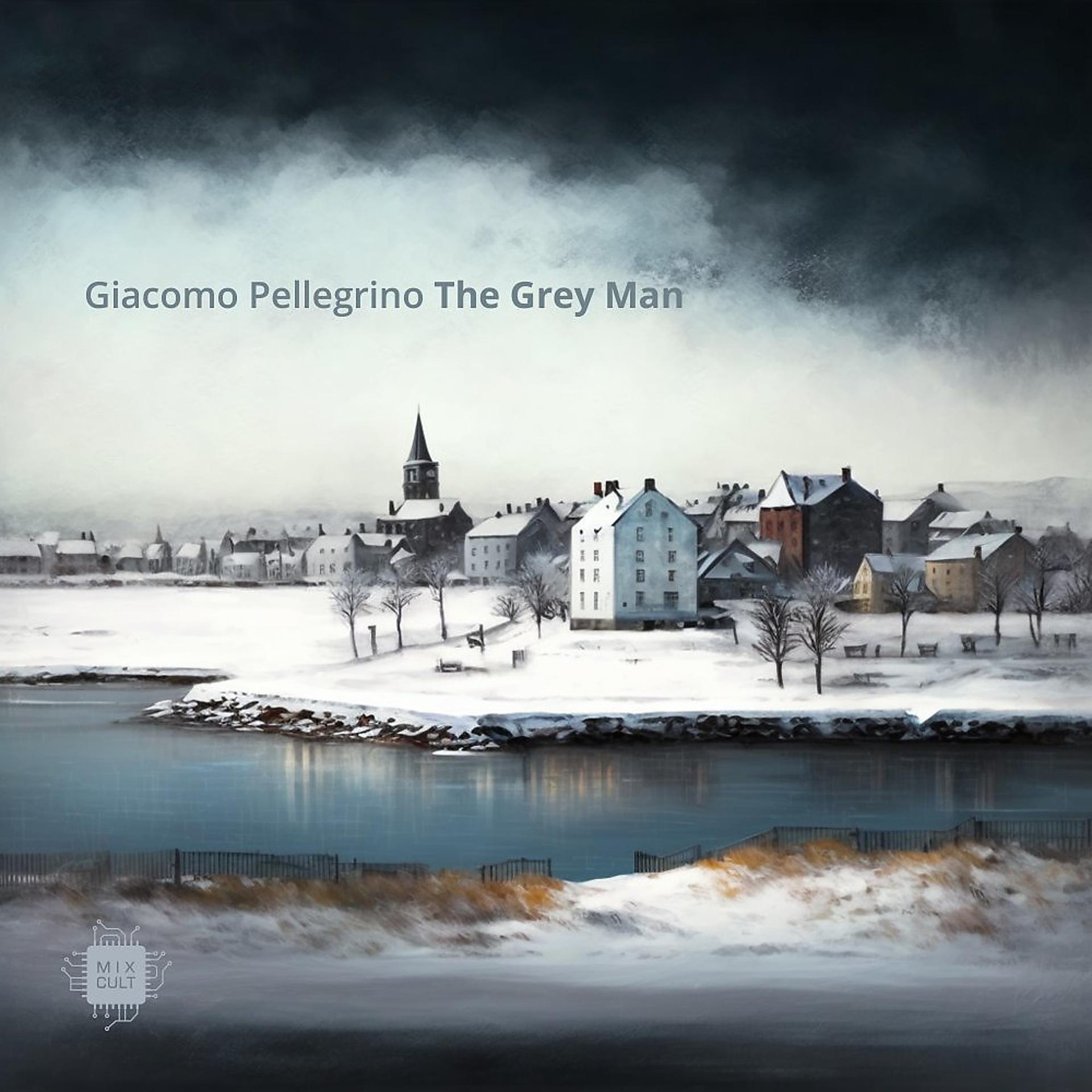 Постер альбома The Grey Man