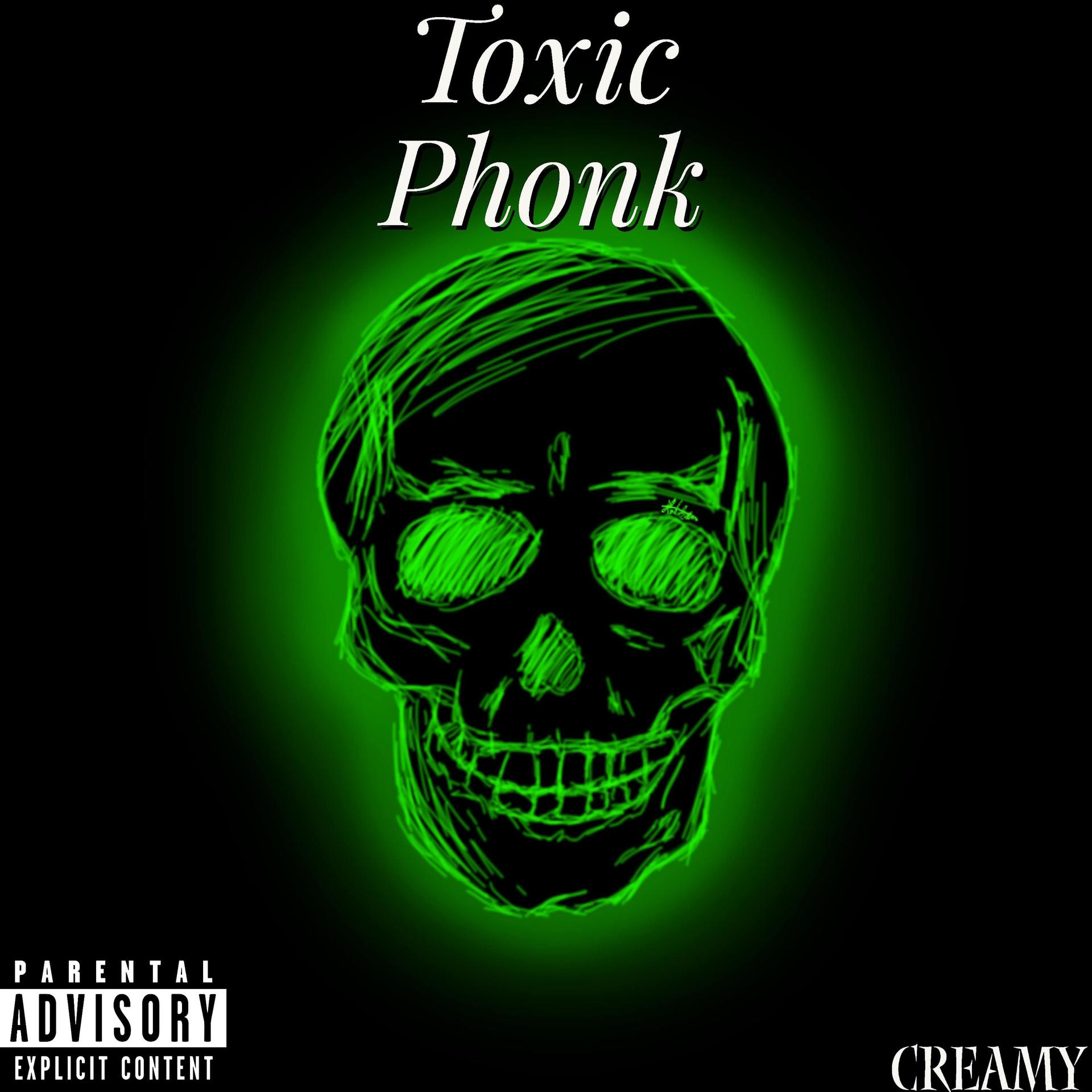 Постер альбома Toxic Phonk