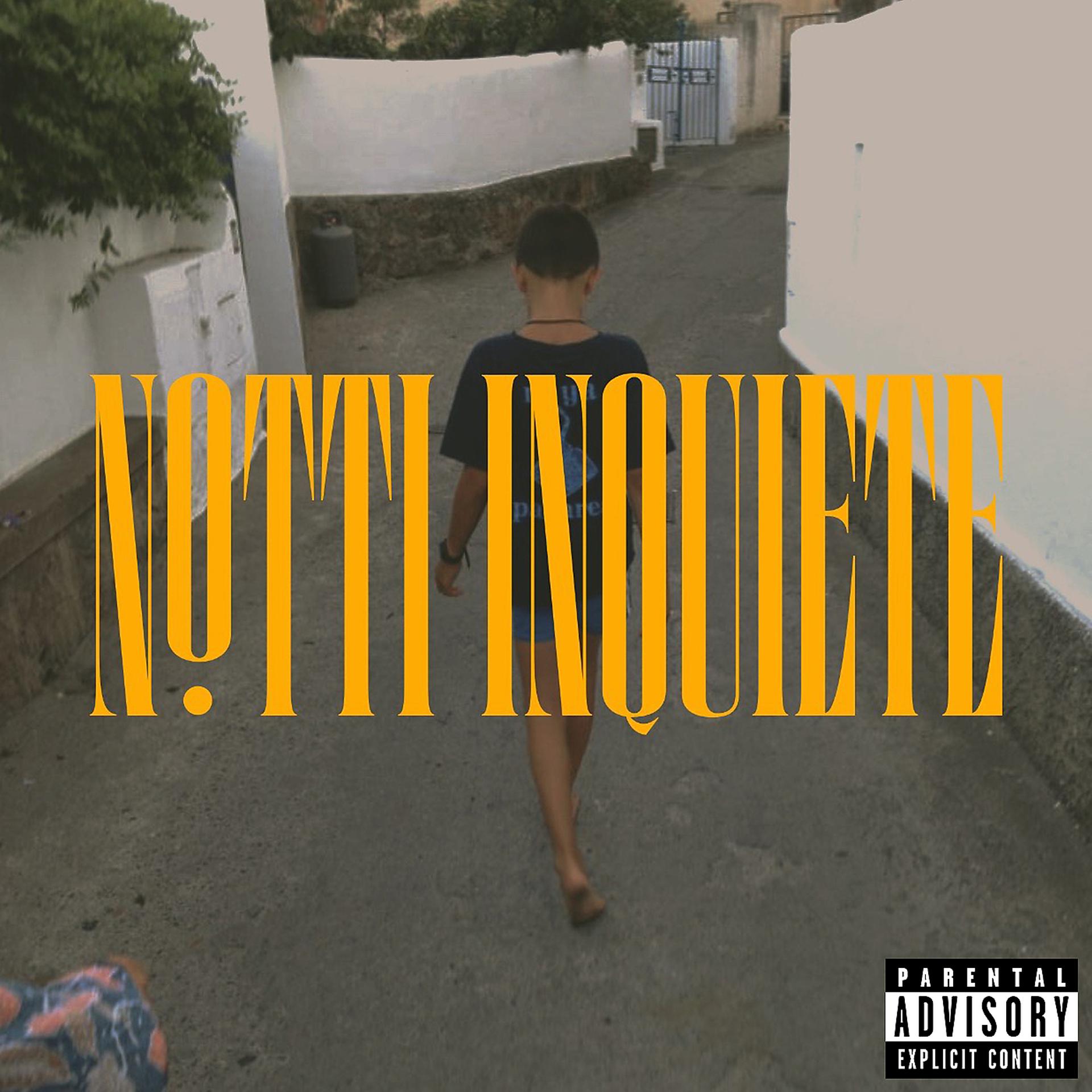 Постер альбома Notti Inquiete