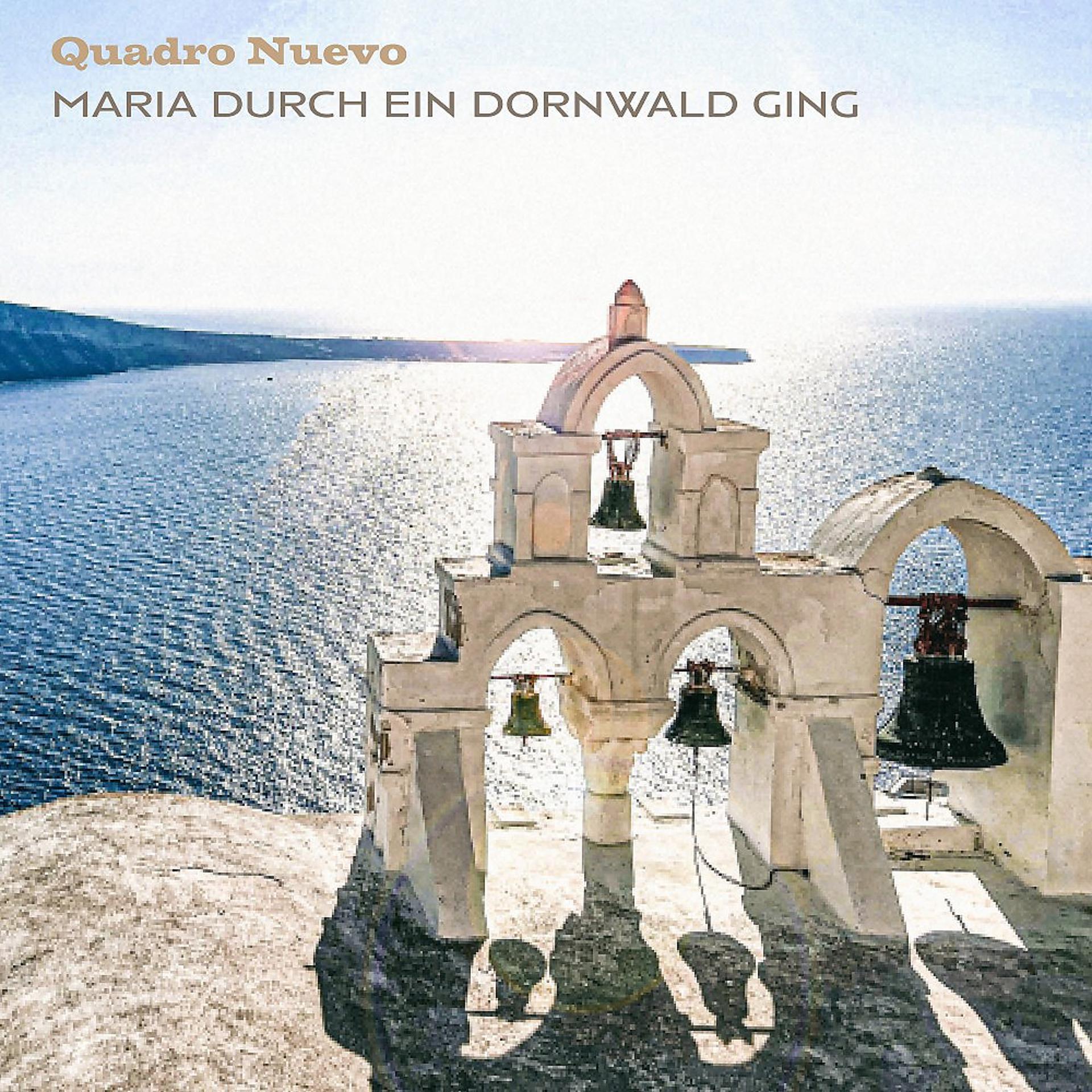 Постер альбома Maria durch ein Dornwald ging (Piano Version)