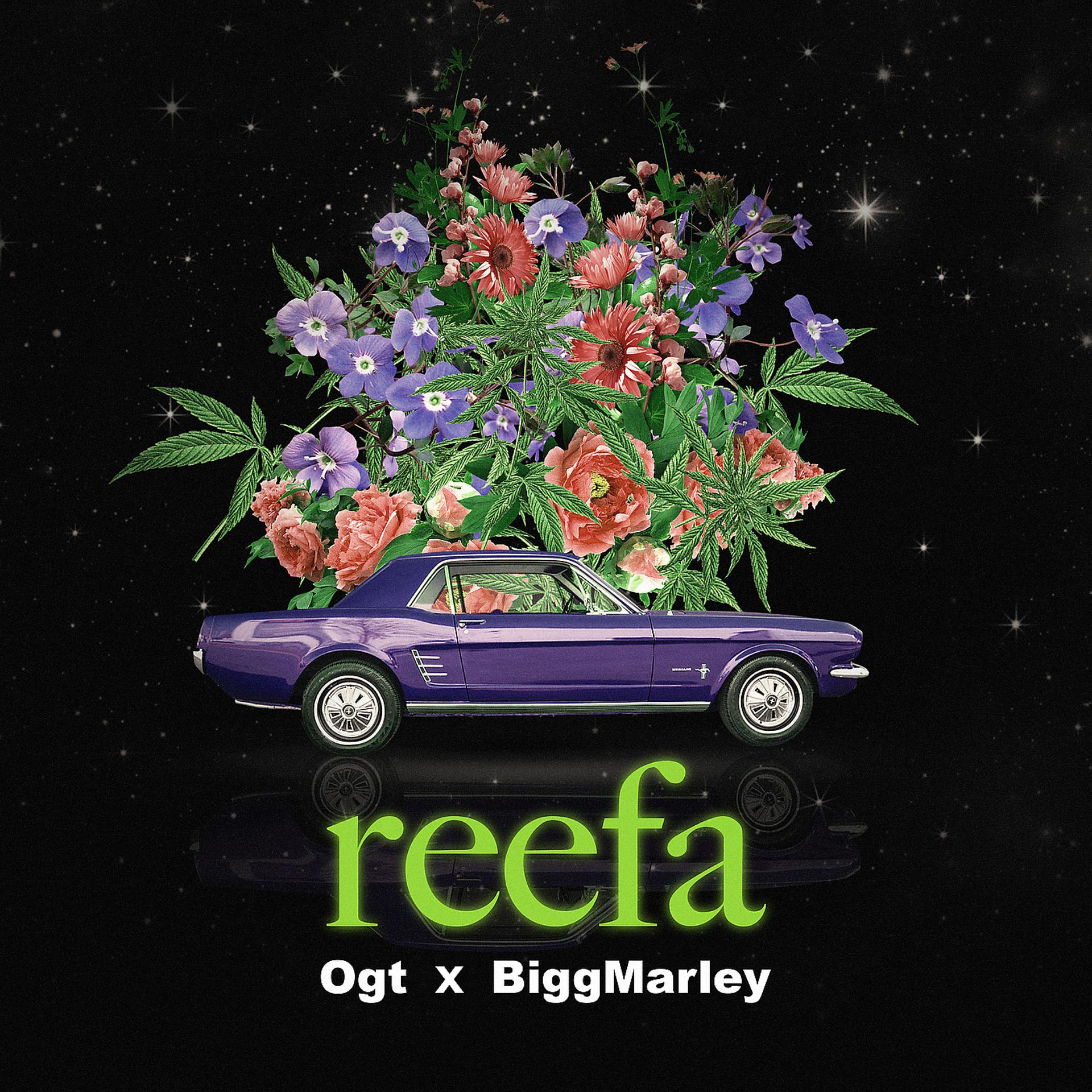 Постер альбома Reefa