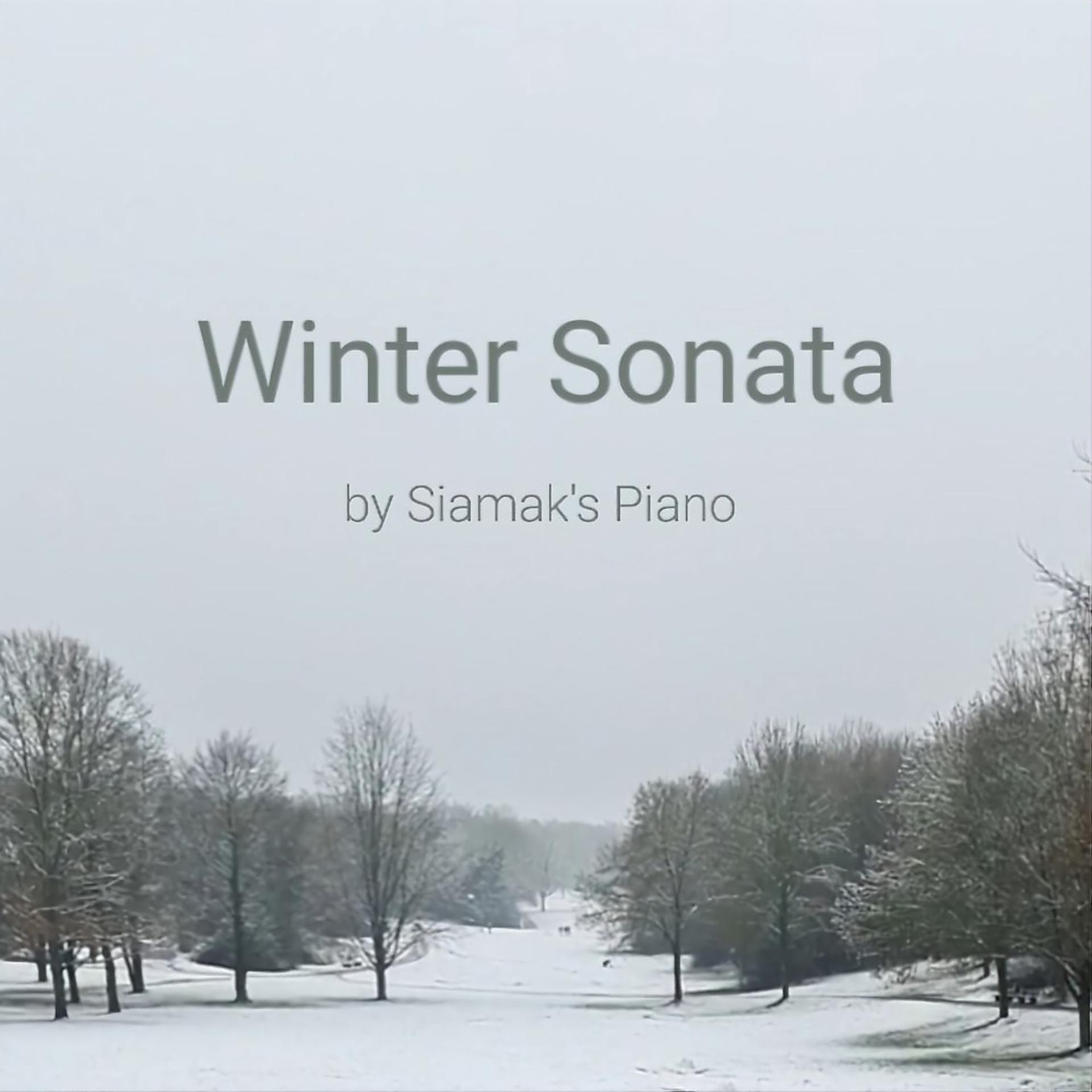 Постер альбома Winter Sonata (Piano Version)