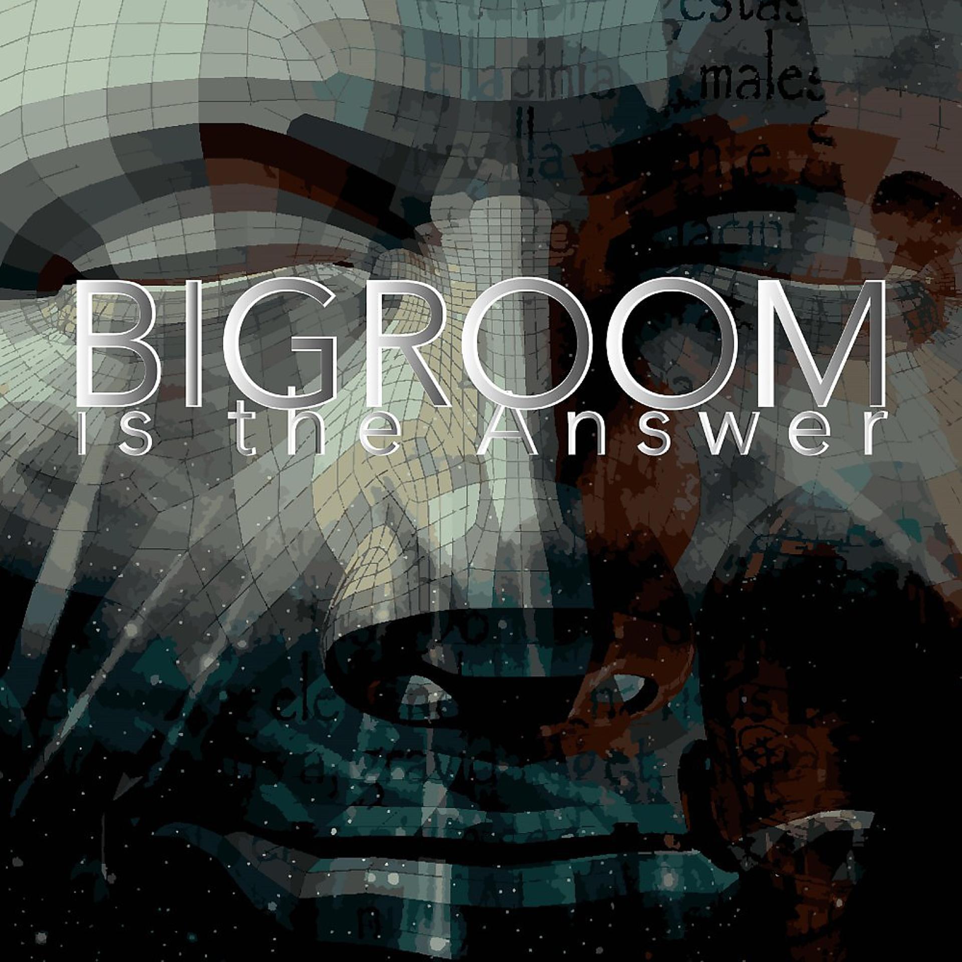 Постер альбома Bigroom Is the Answer