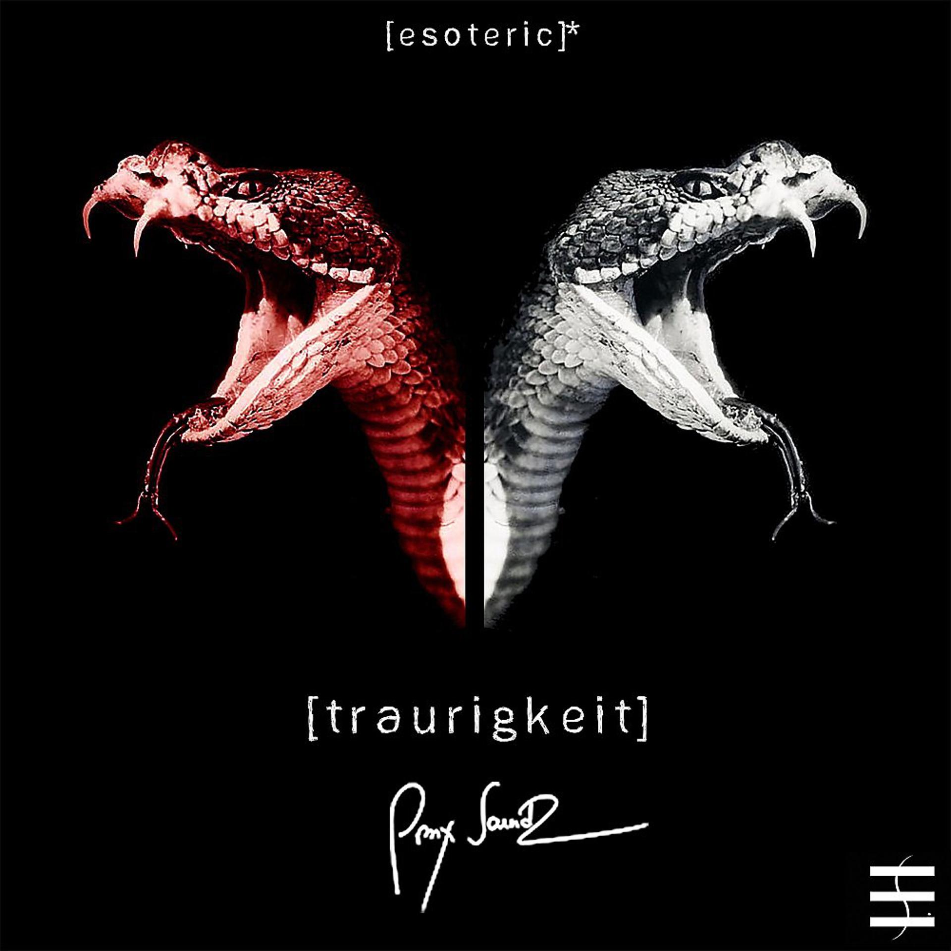 Постер альбома Traurigkeit (2021 Edit)