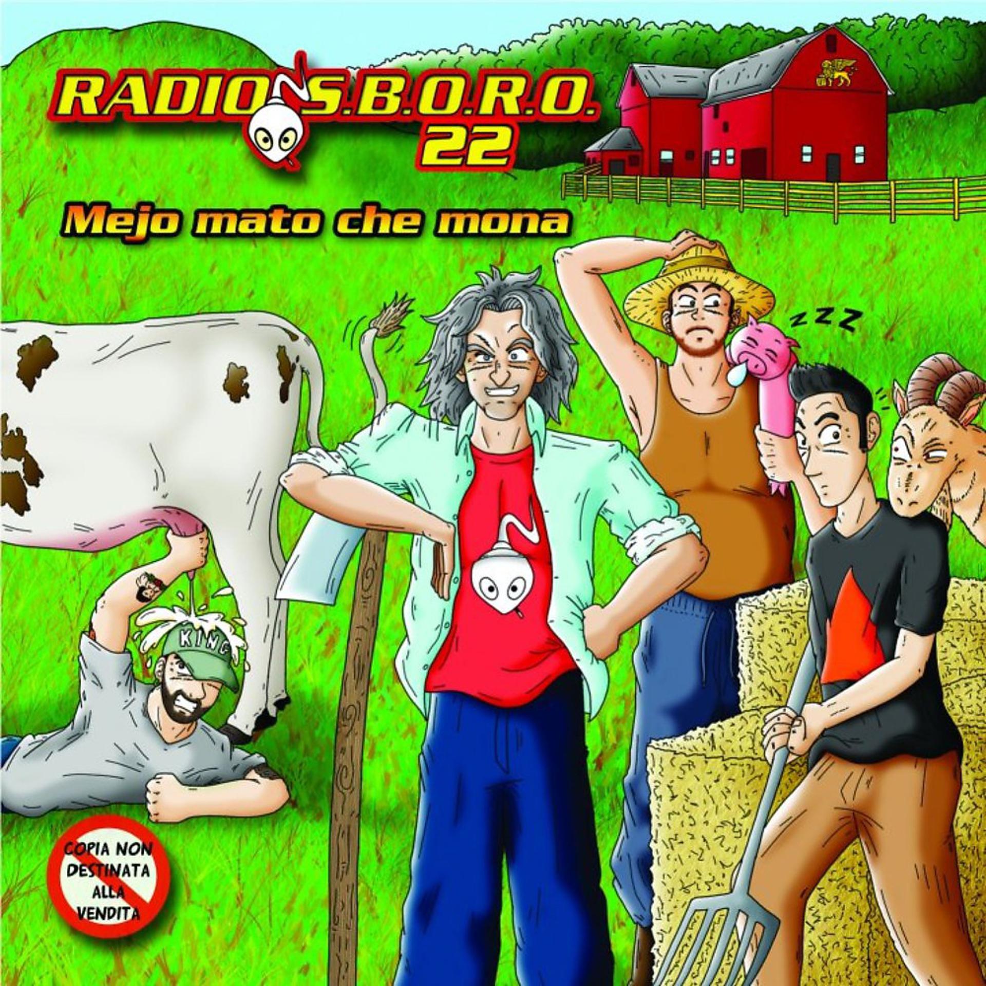 Постер альбома Radiosboro 22: Mejo mato che mona