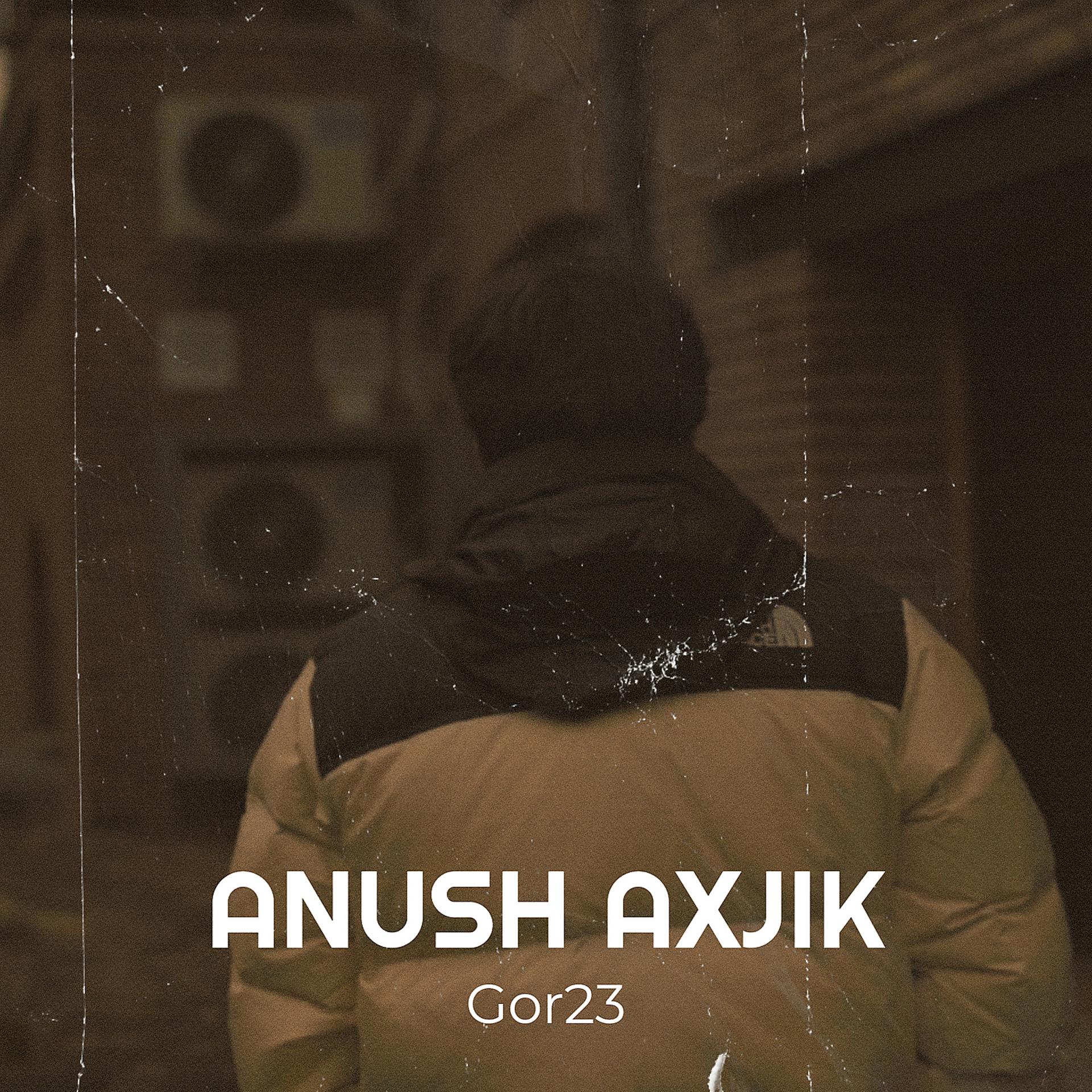 Постер альбома Anush Axjik