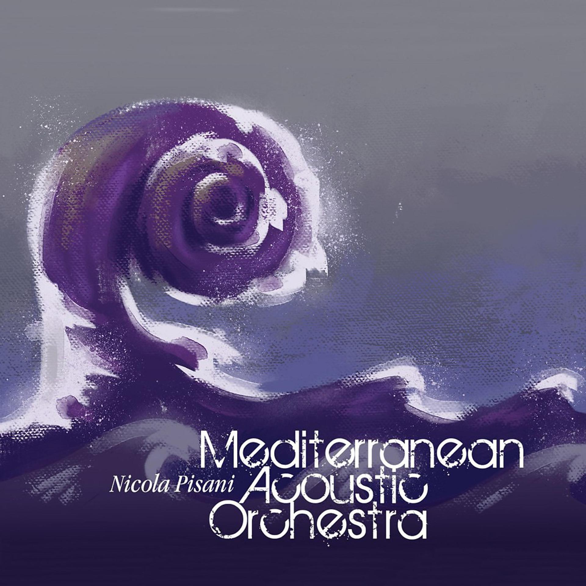 Постер альбома Mediterranean Acoustic Orchestra