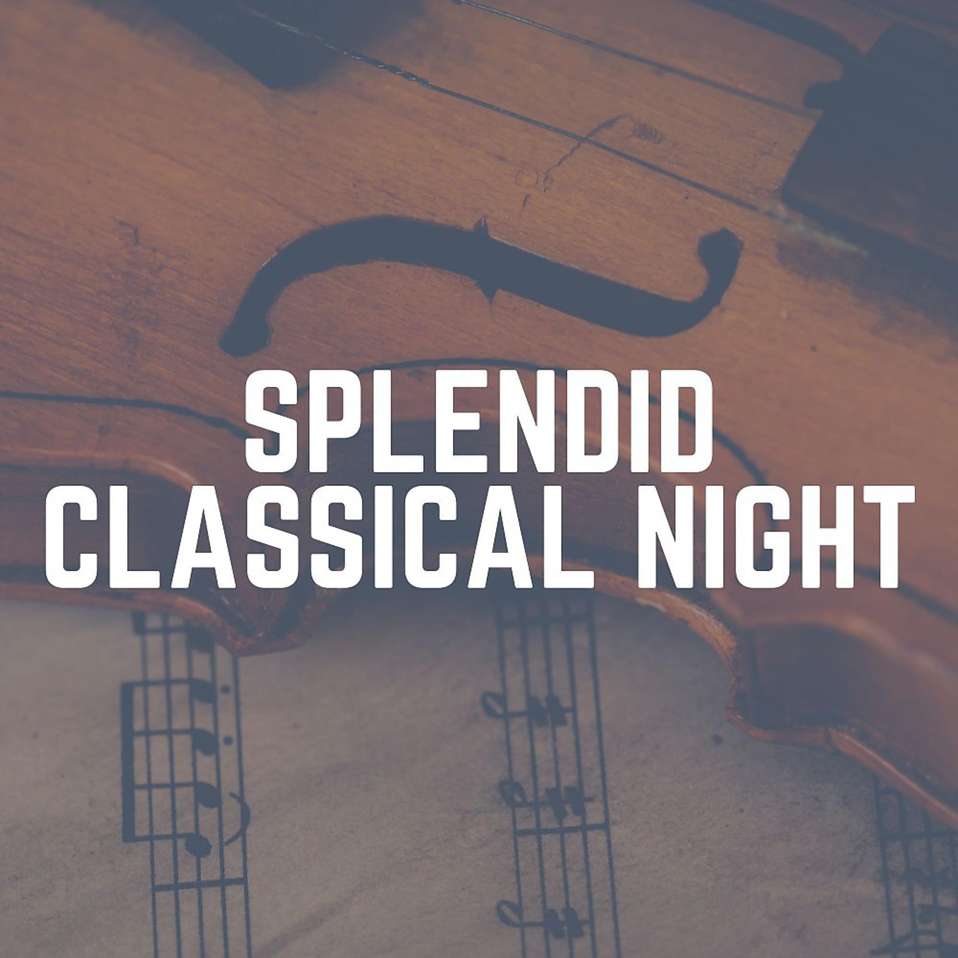 Постер альбома Splendid Classical Night