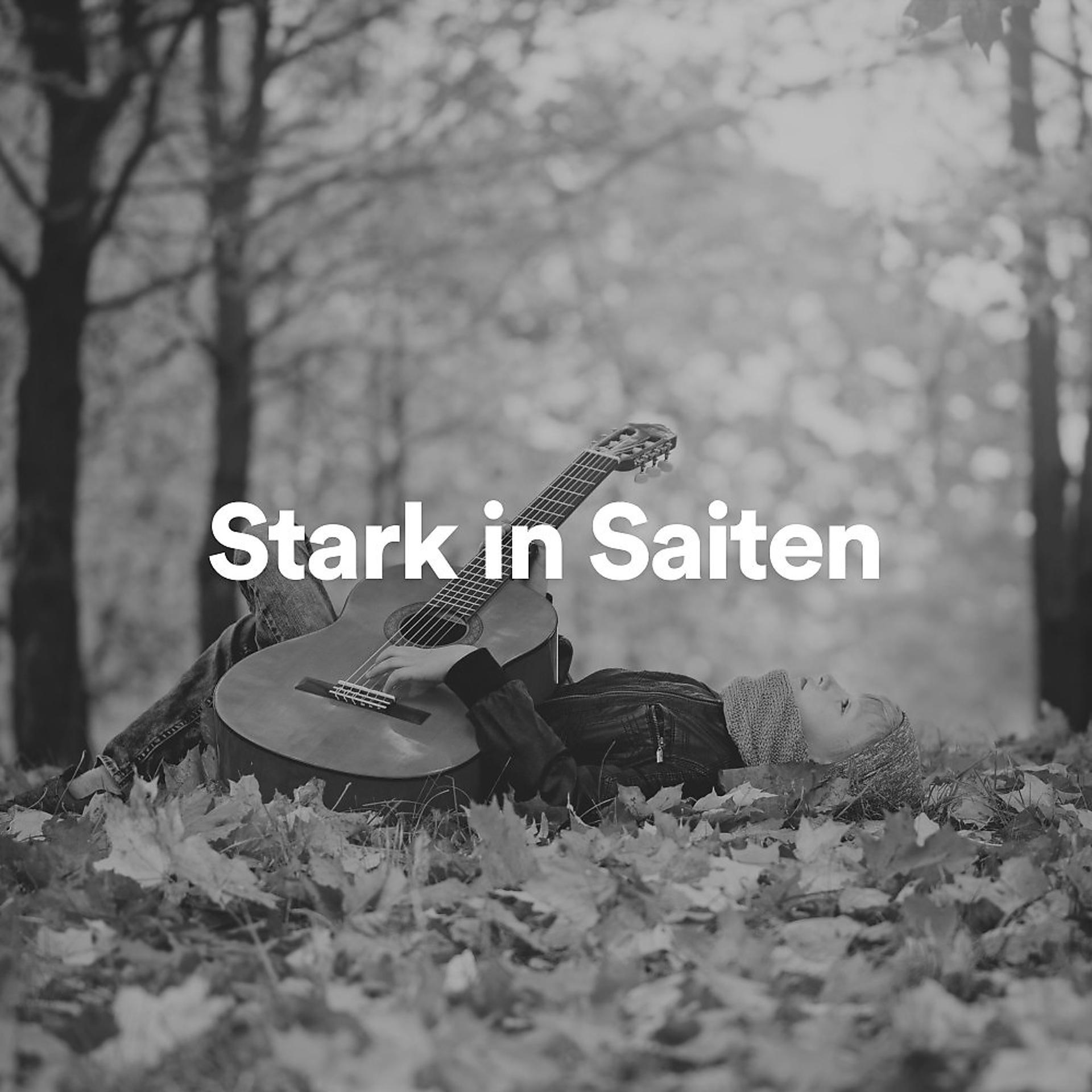 Постер альбома Stark in Saiten