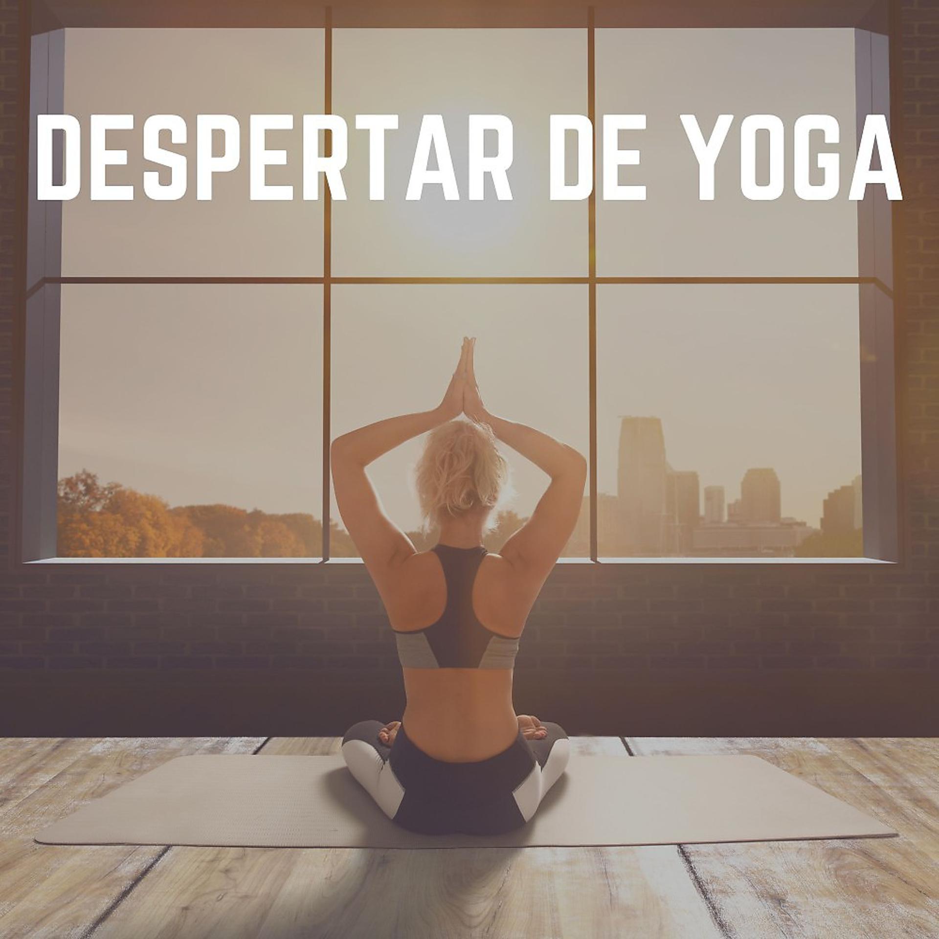 Постер альбома Despertar de Yoga