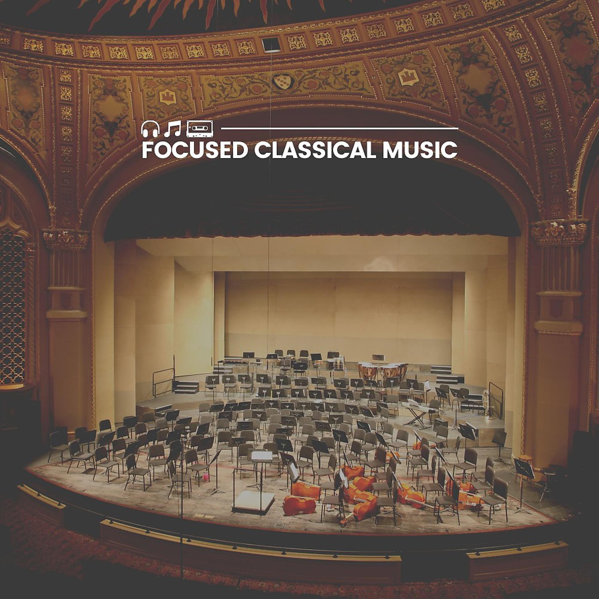 Постер альбома Focused Classical Music