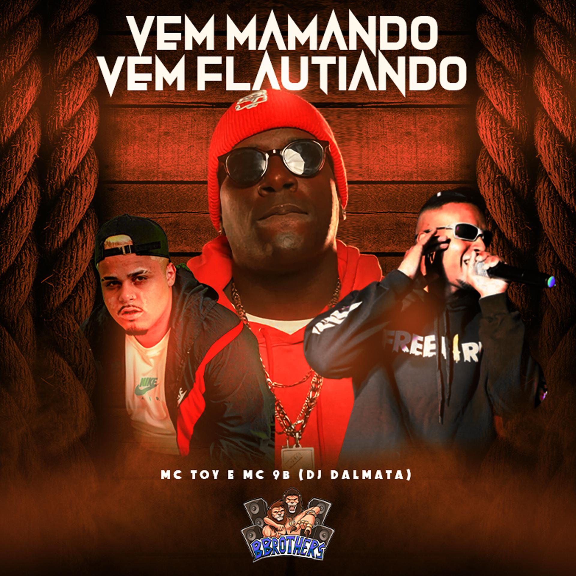 Постер альбома Vem Mamando, Vem Flautiando