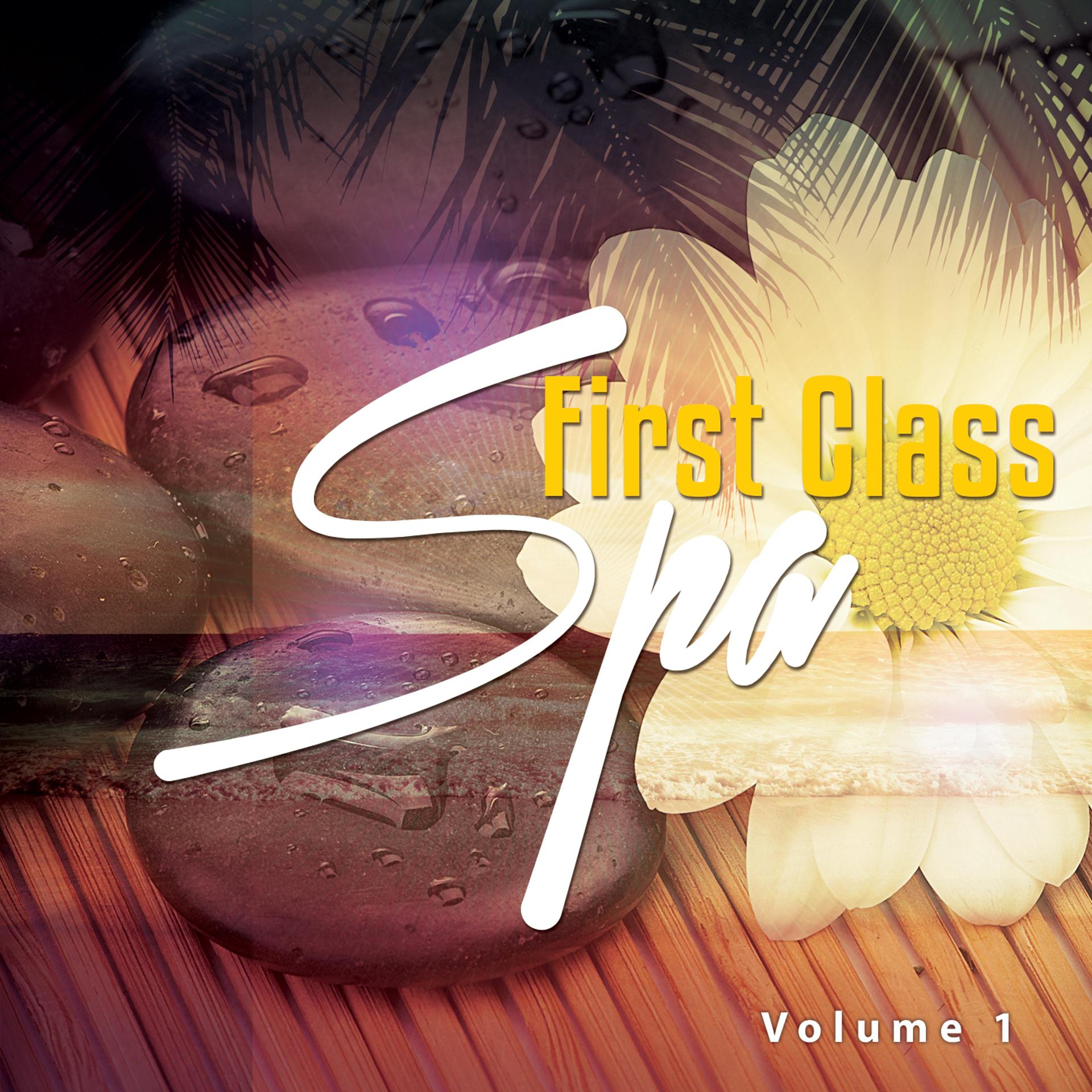 Постер альбома First Class Spa, Vol. 1