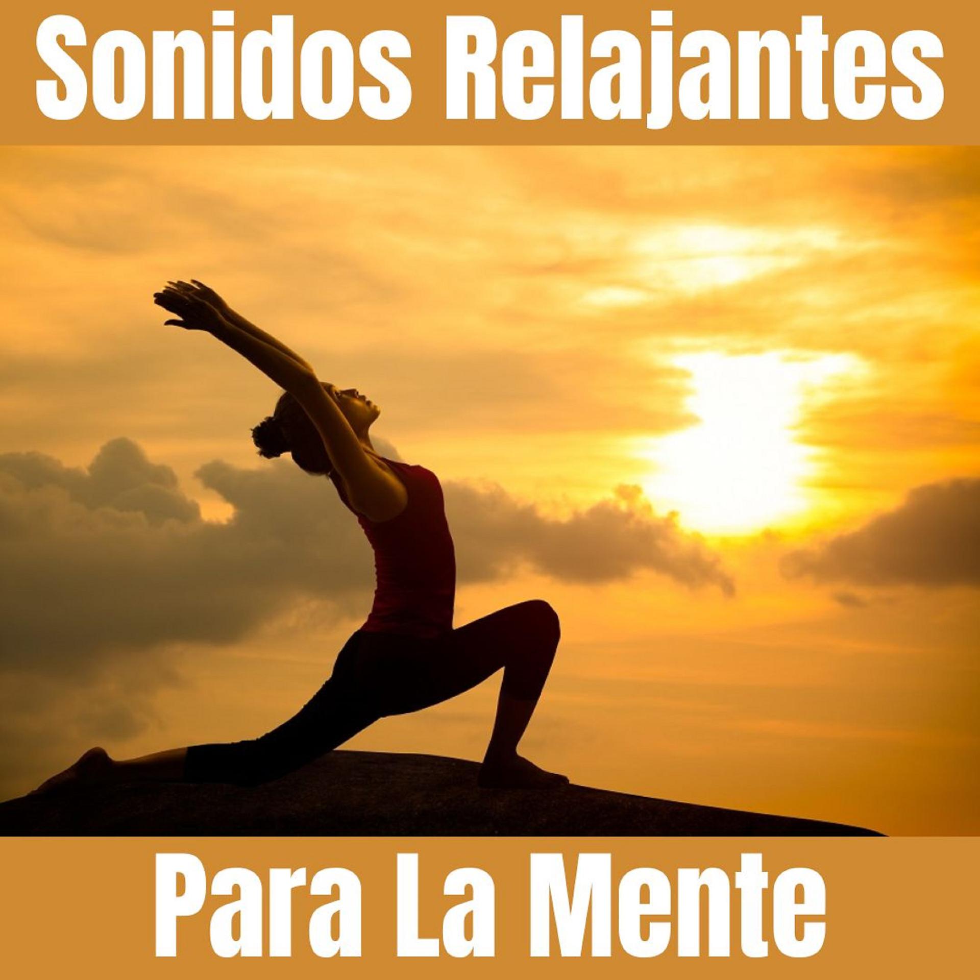 Постер альбома Sonidos Relajantes Para La Mente