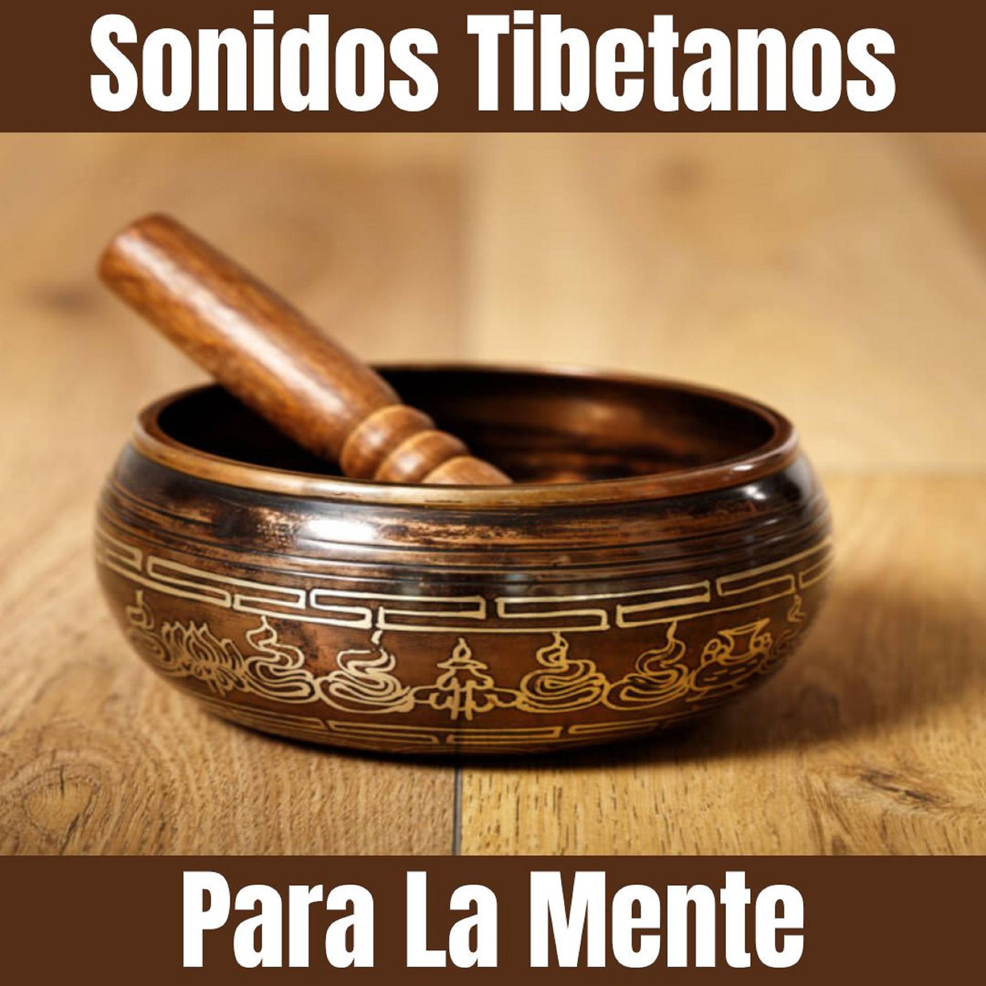 Постер альбома Sonidos Tibetanos Para La Mente