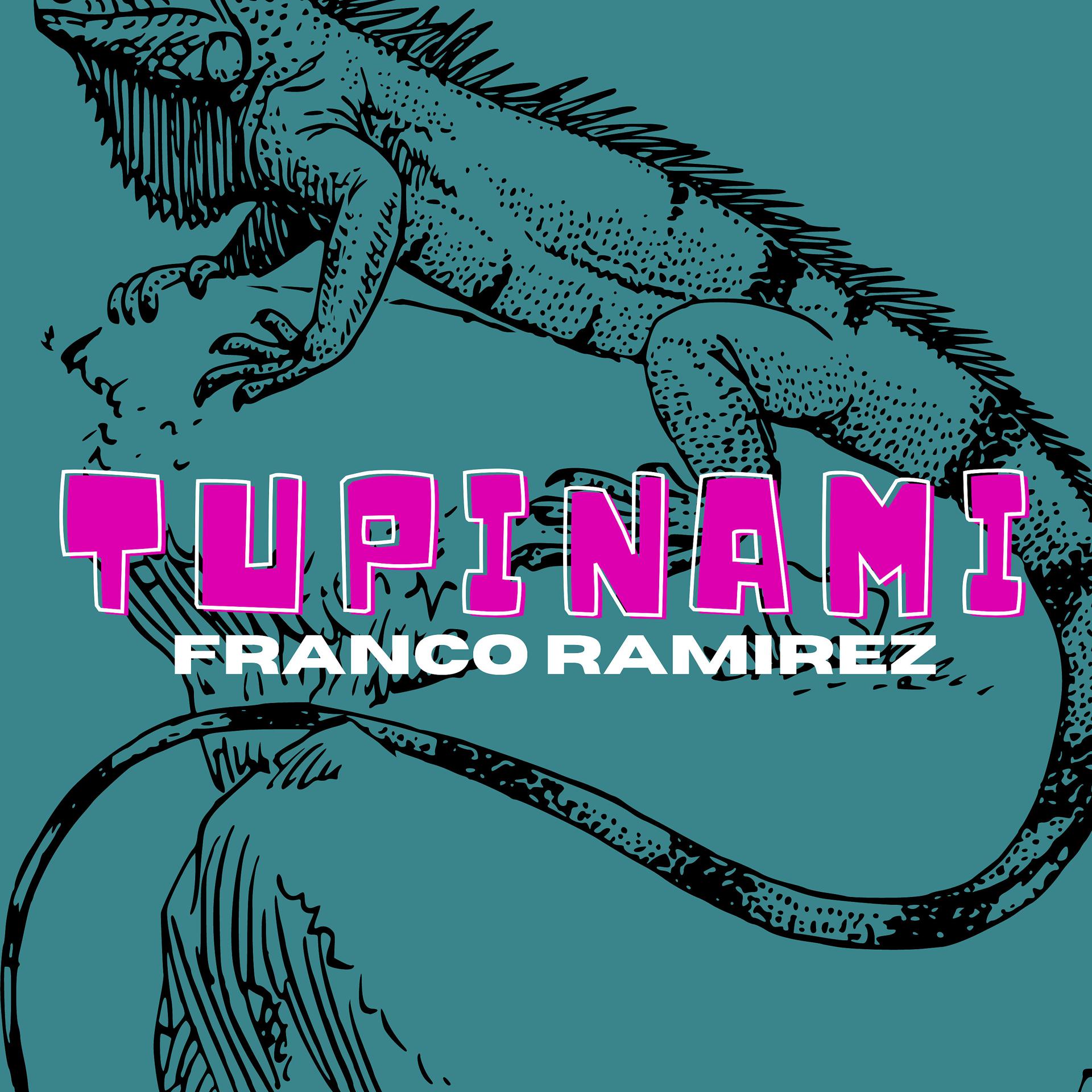 Постер альбома Tupinami