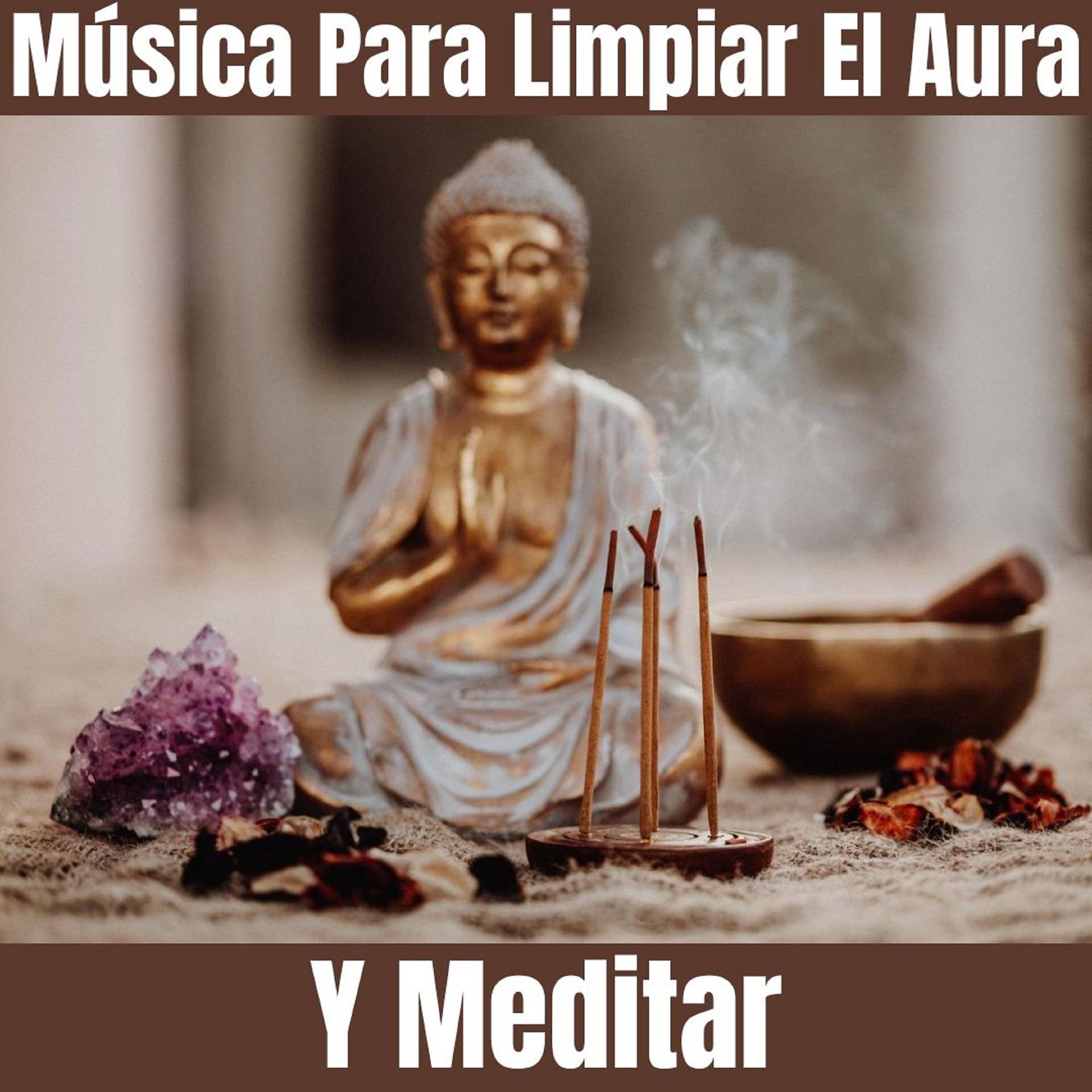 Постер альбома Música Para Limpiar El Aura Y Meditar