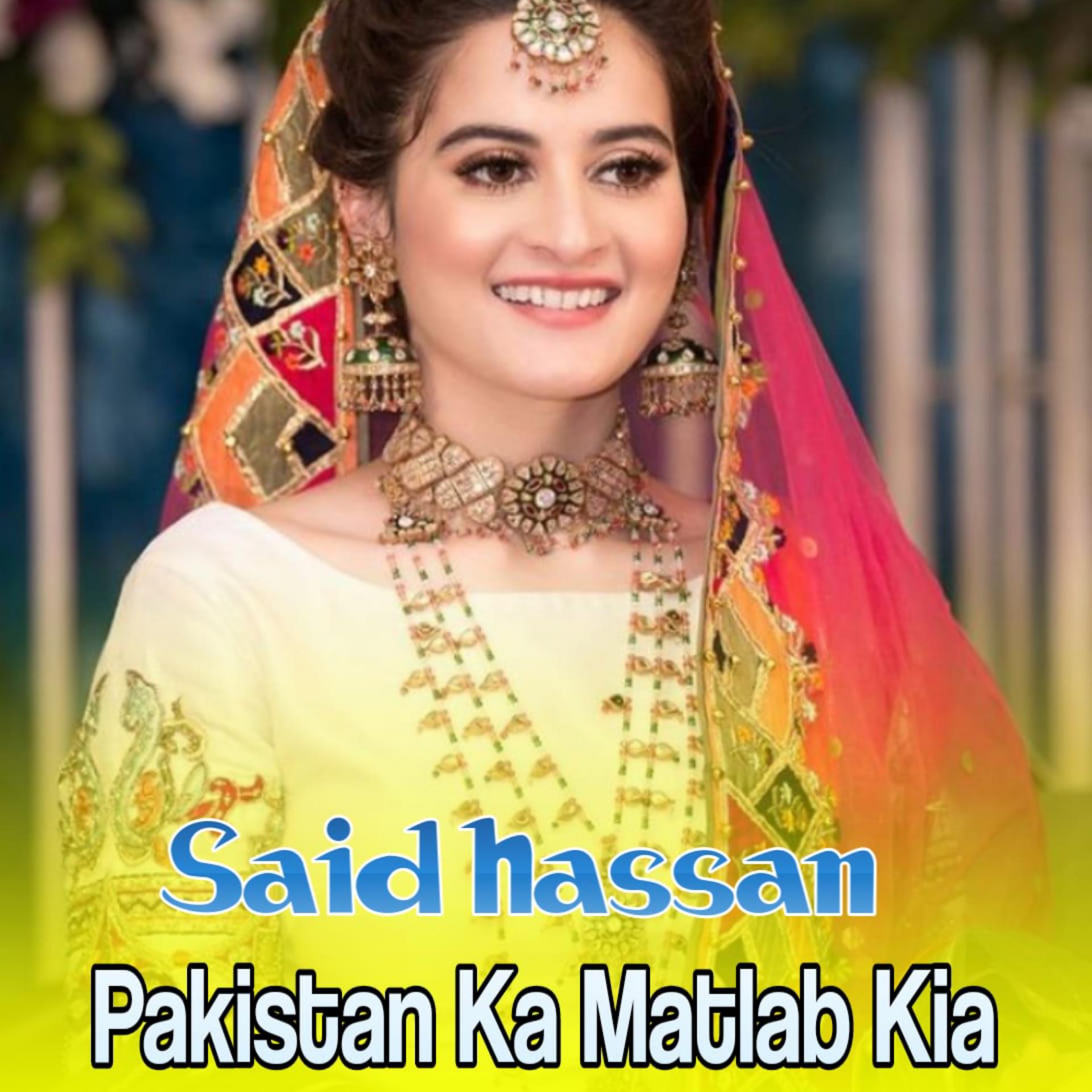 Постер альбома Pakistan Ka Matlab Kia