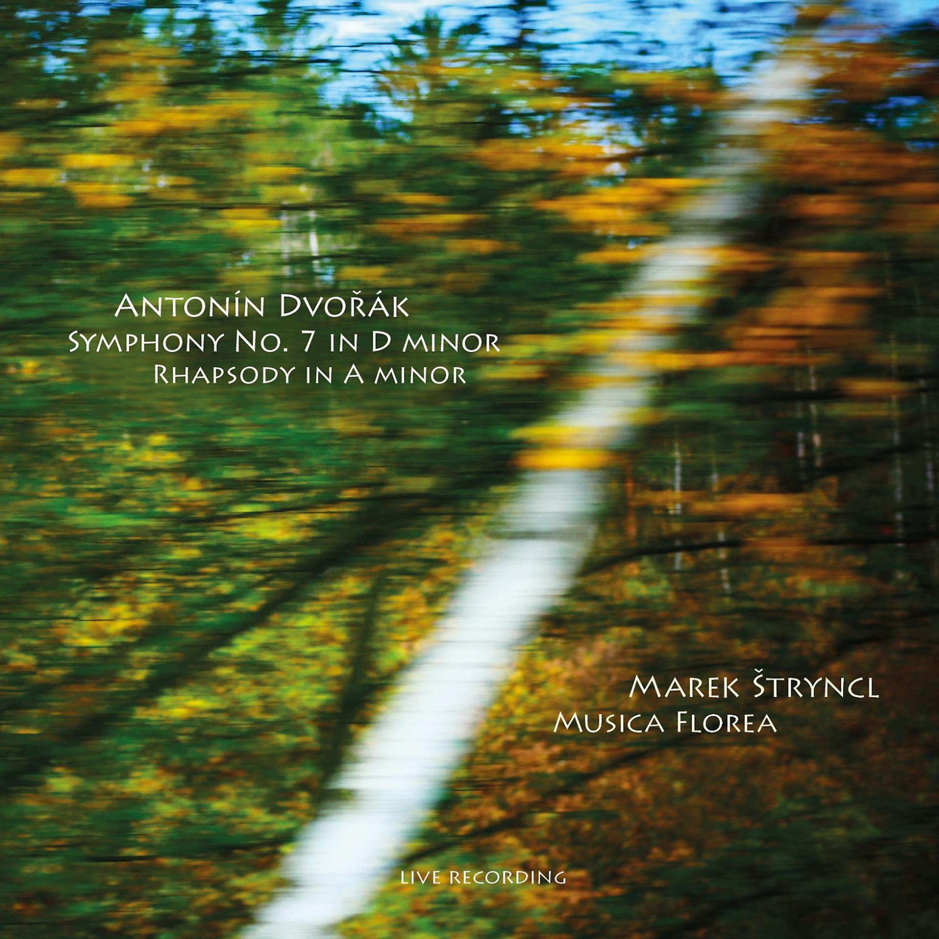Постер альбома Dvořák: symphony no. 7