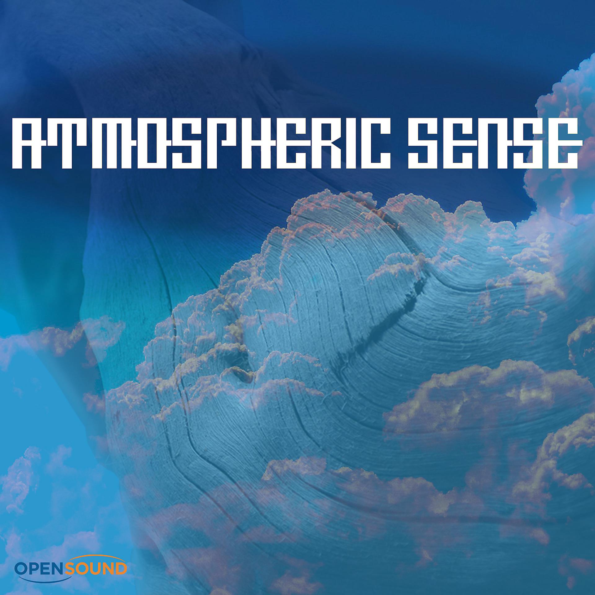 Постер альбома Atmospheric Sense