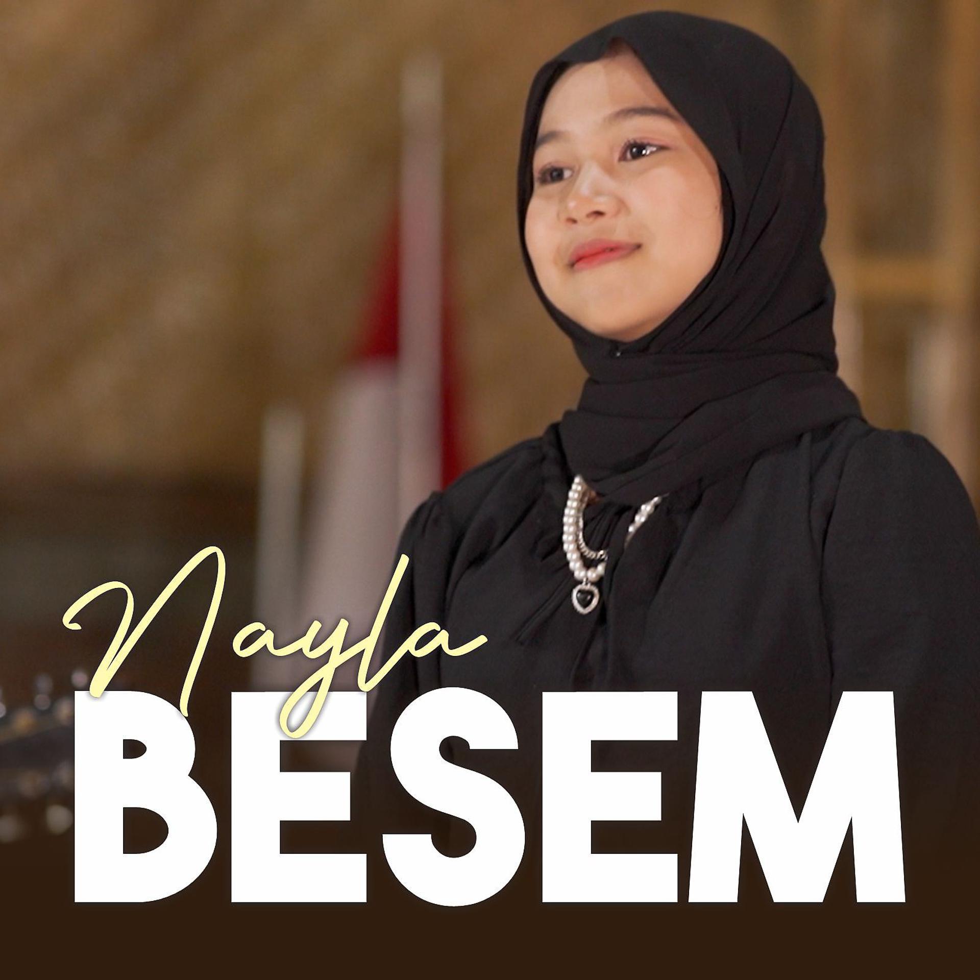 Постер альбома Besem