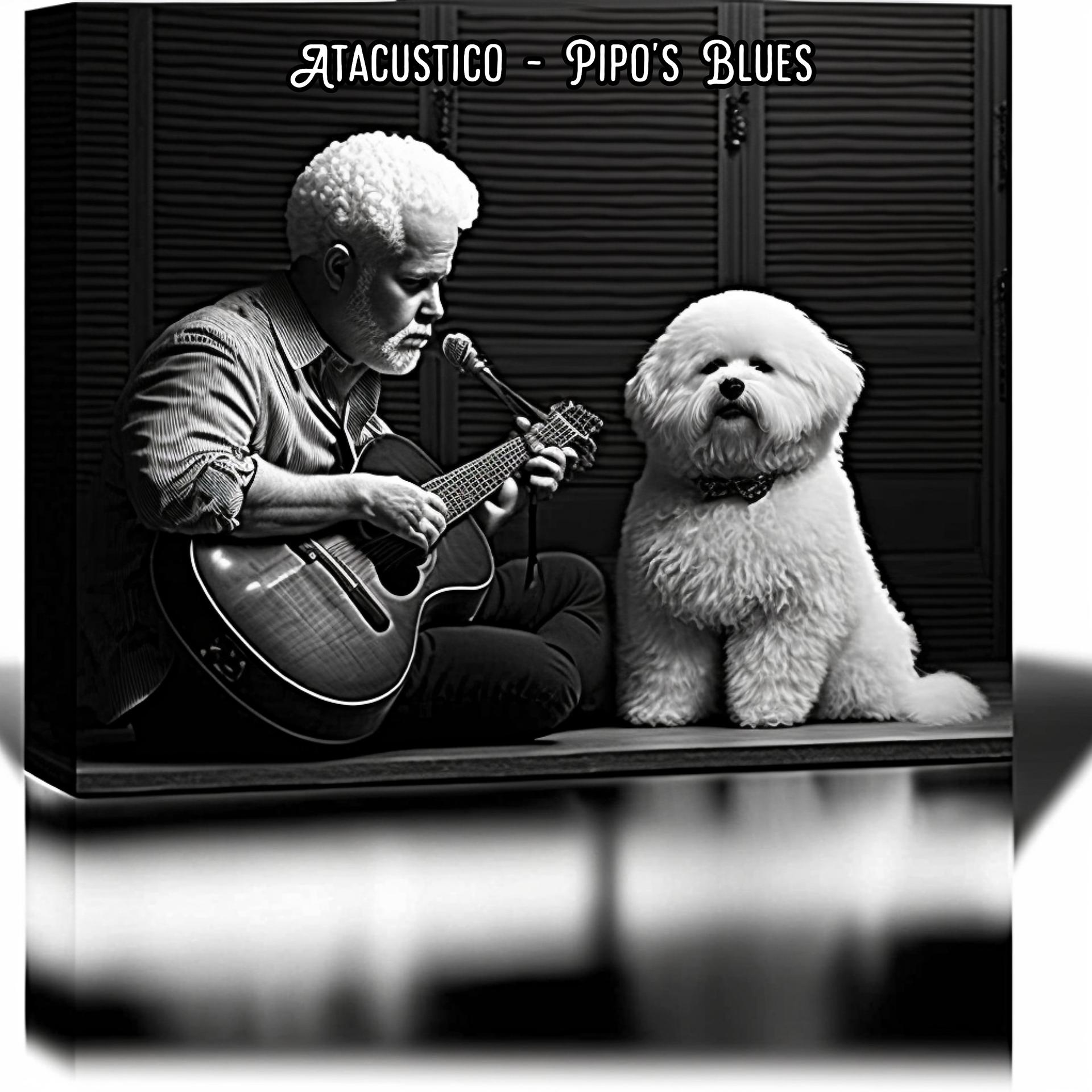 Постер альбома Pipo's Blues