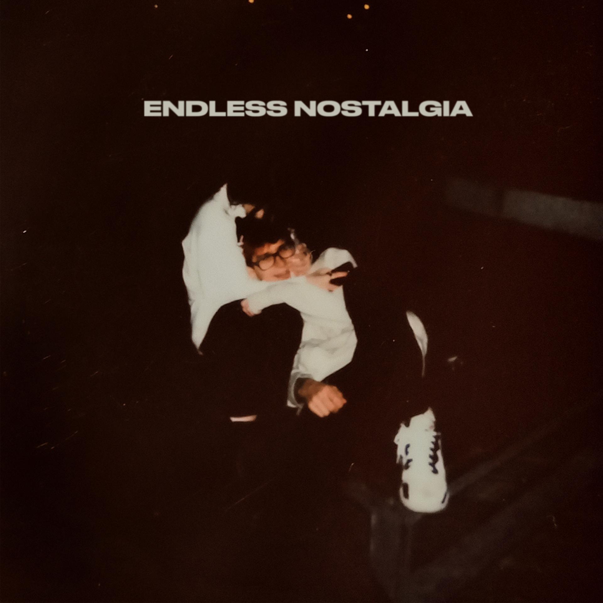 Постер альбома Endless Nostalgia