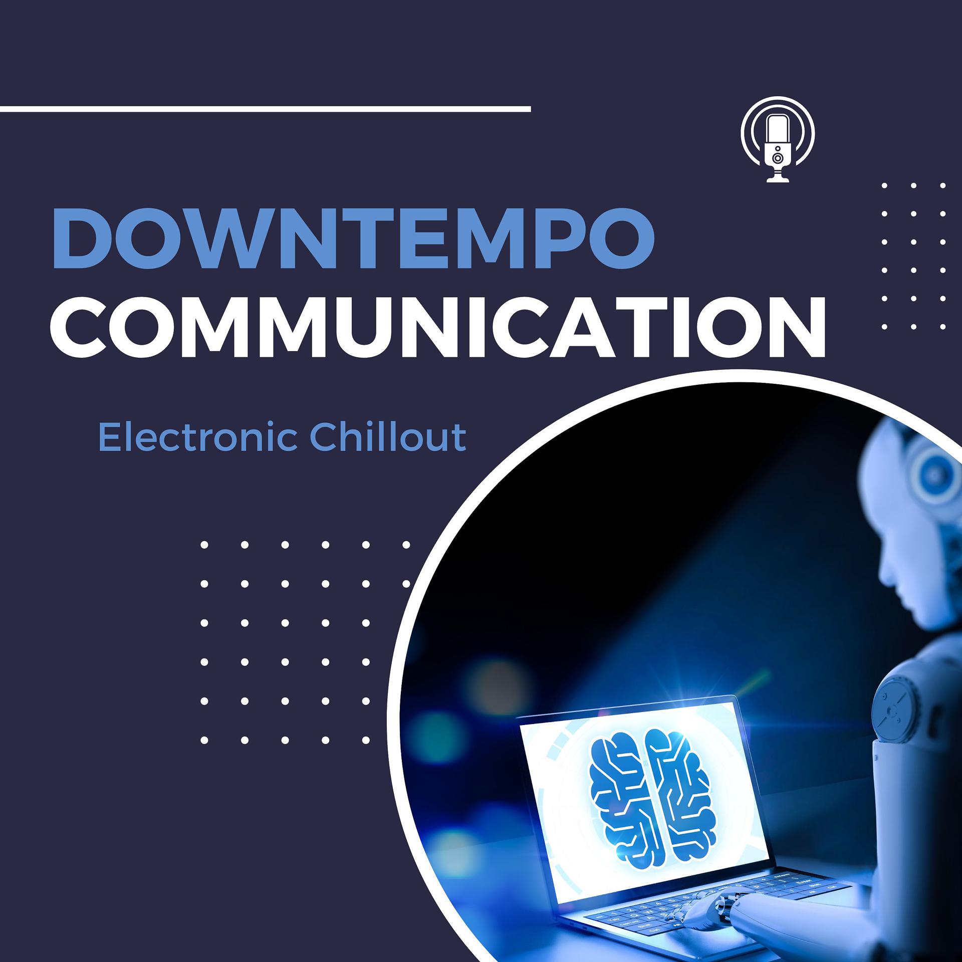 Постер альбома Downtempo Communication