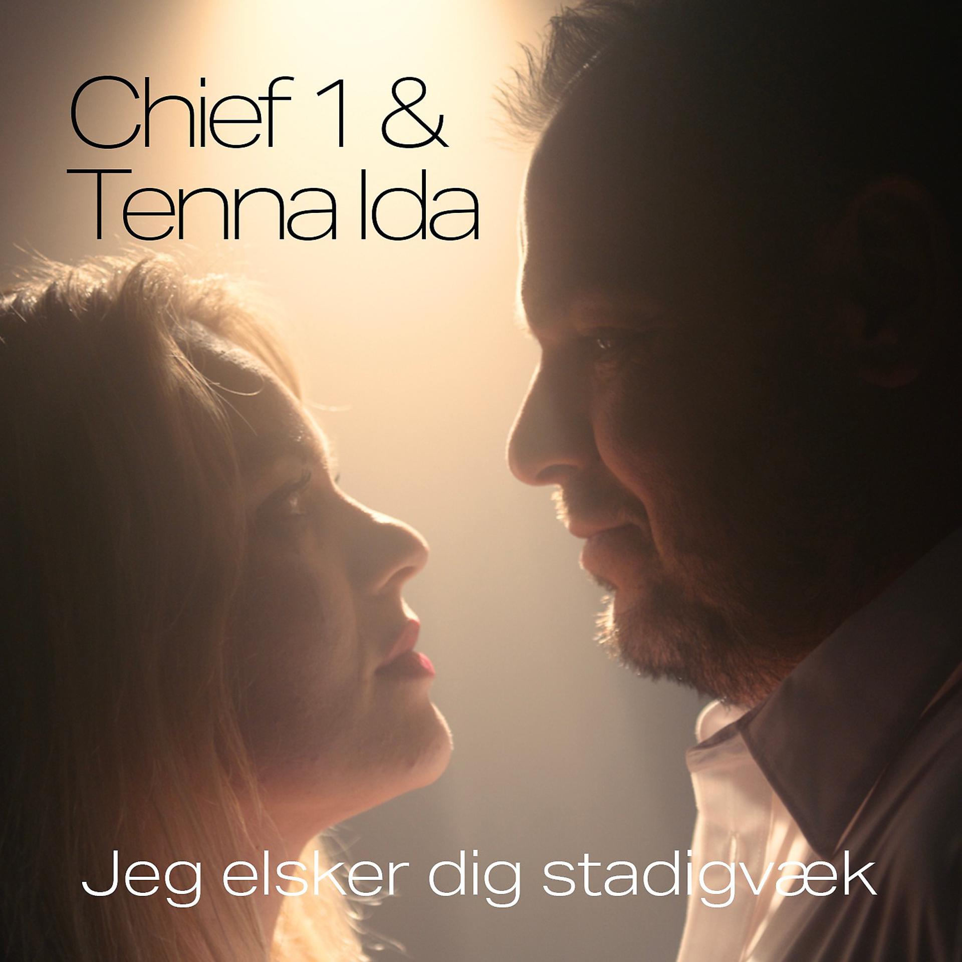 Постер альбома Jeg Elsker Dig Stadigvæk