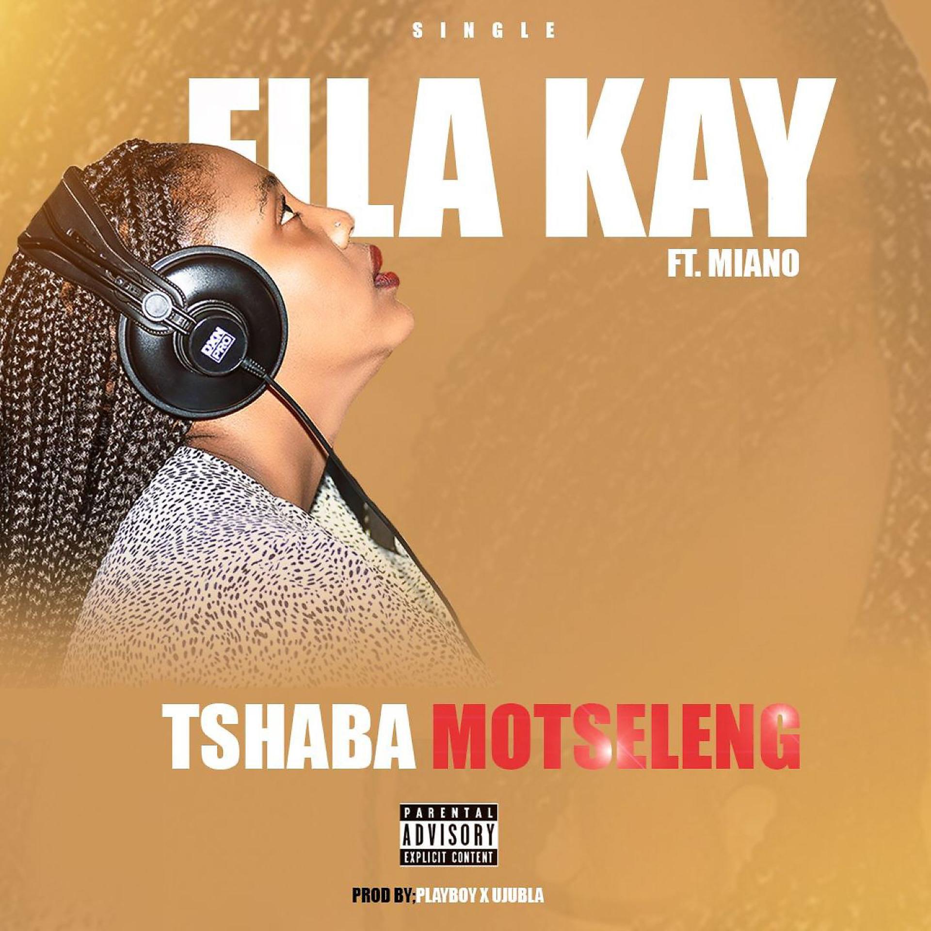Постер альбома Tshaba Motseleng