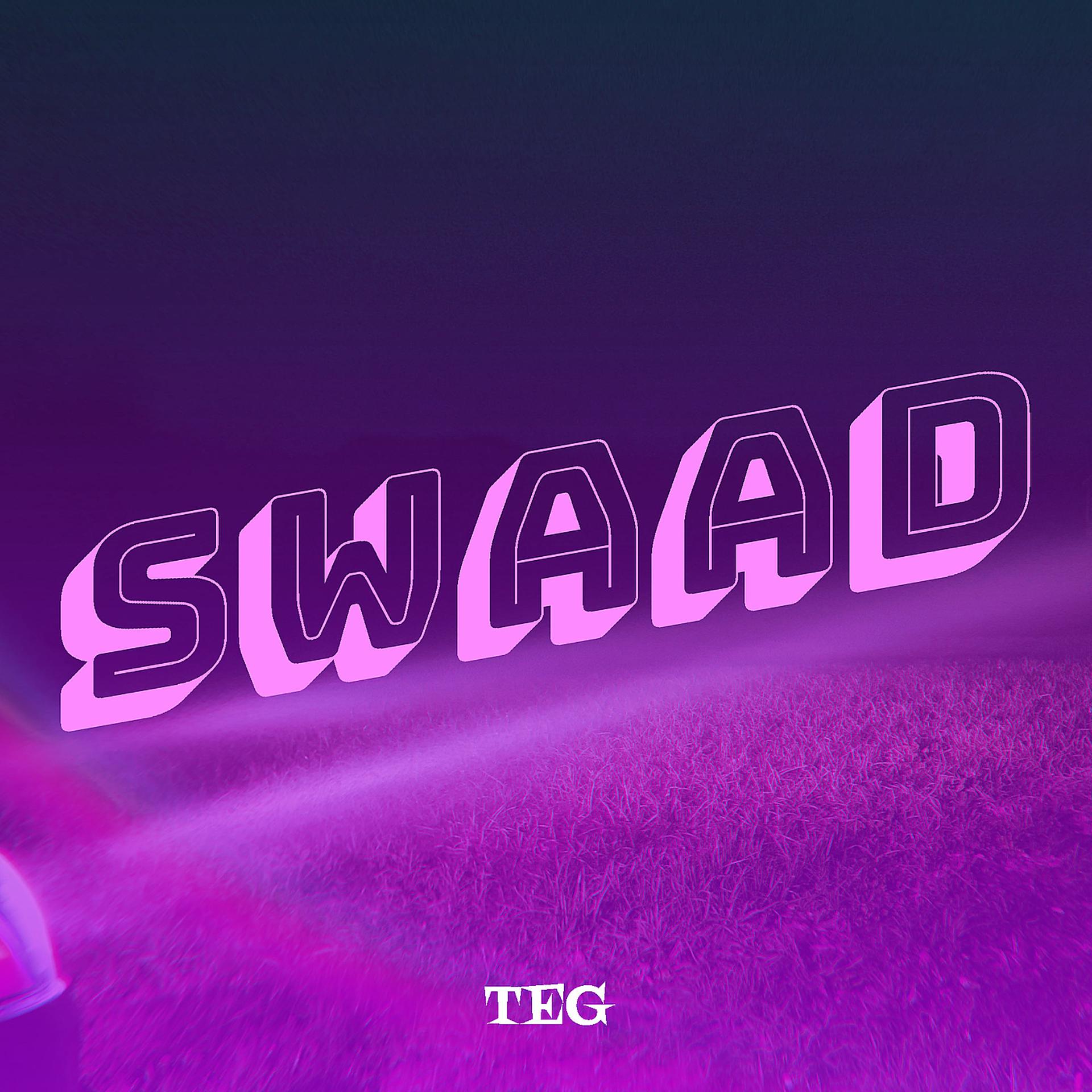 Постер альбома Swaad