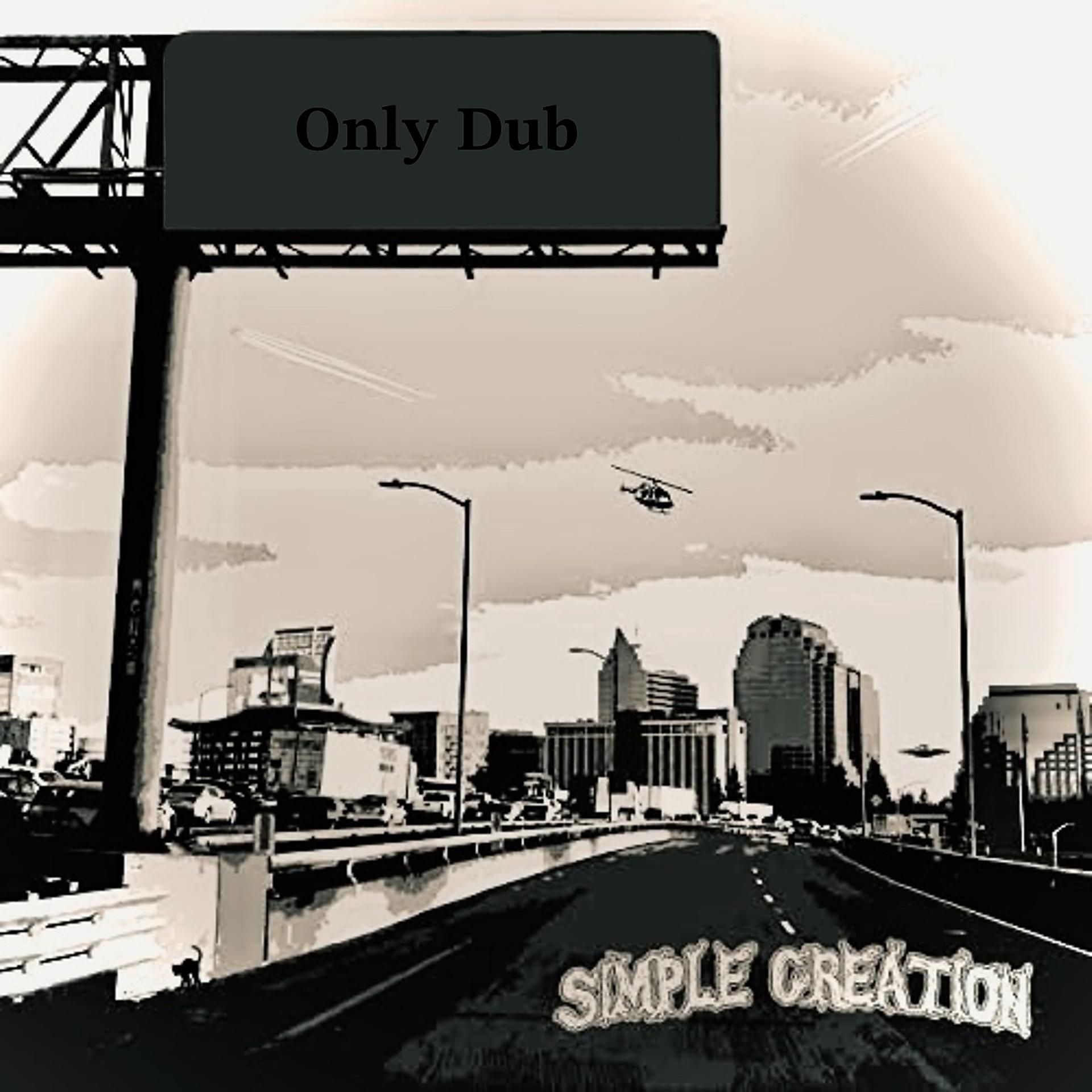 Постер альбома Only Dub