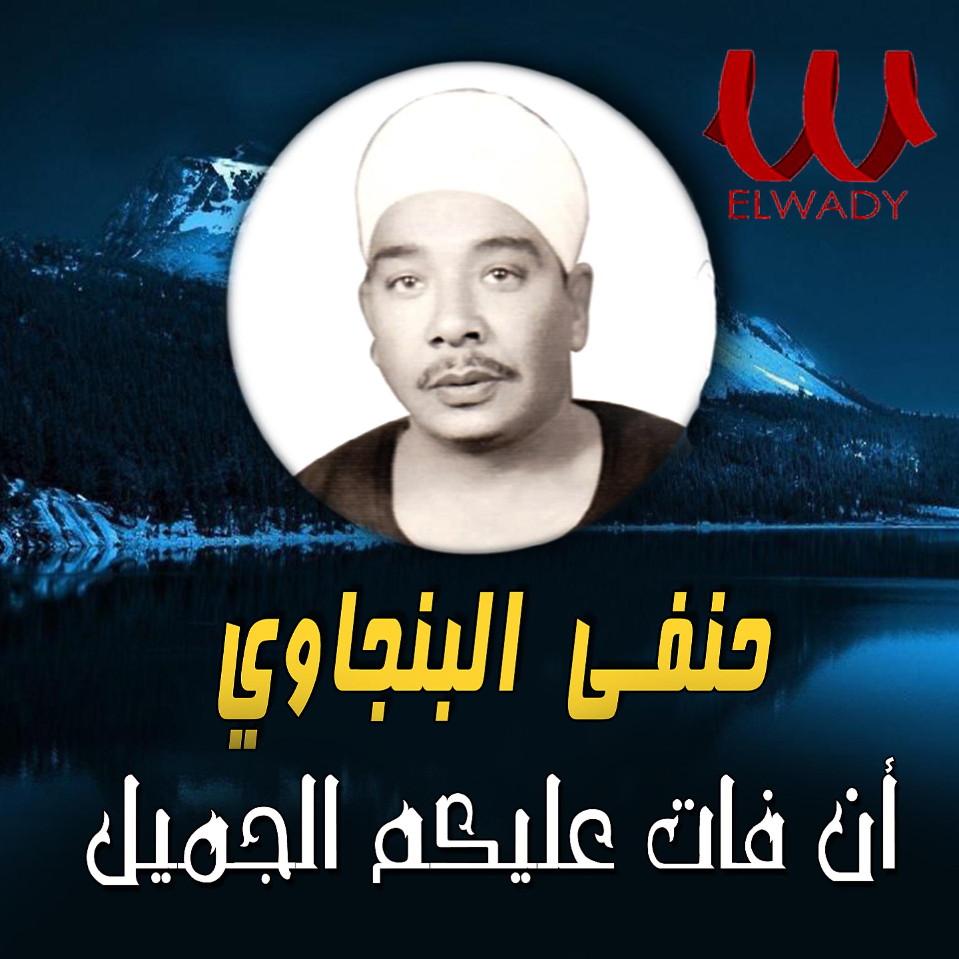 Постер альбома ان فات عليكوا الجميل
