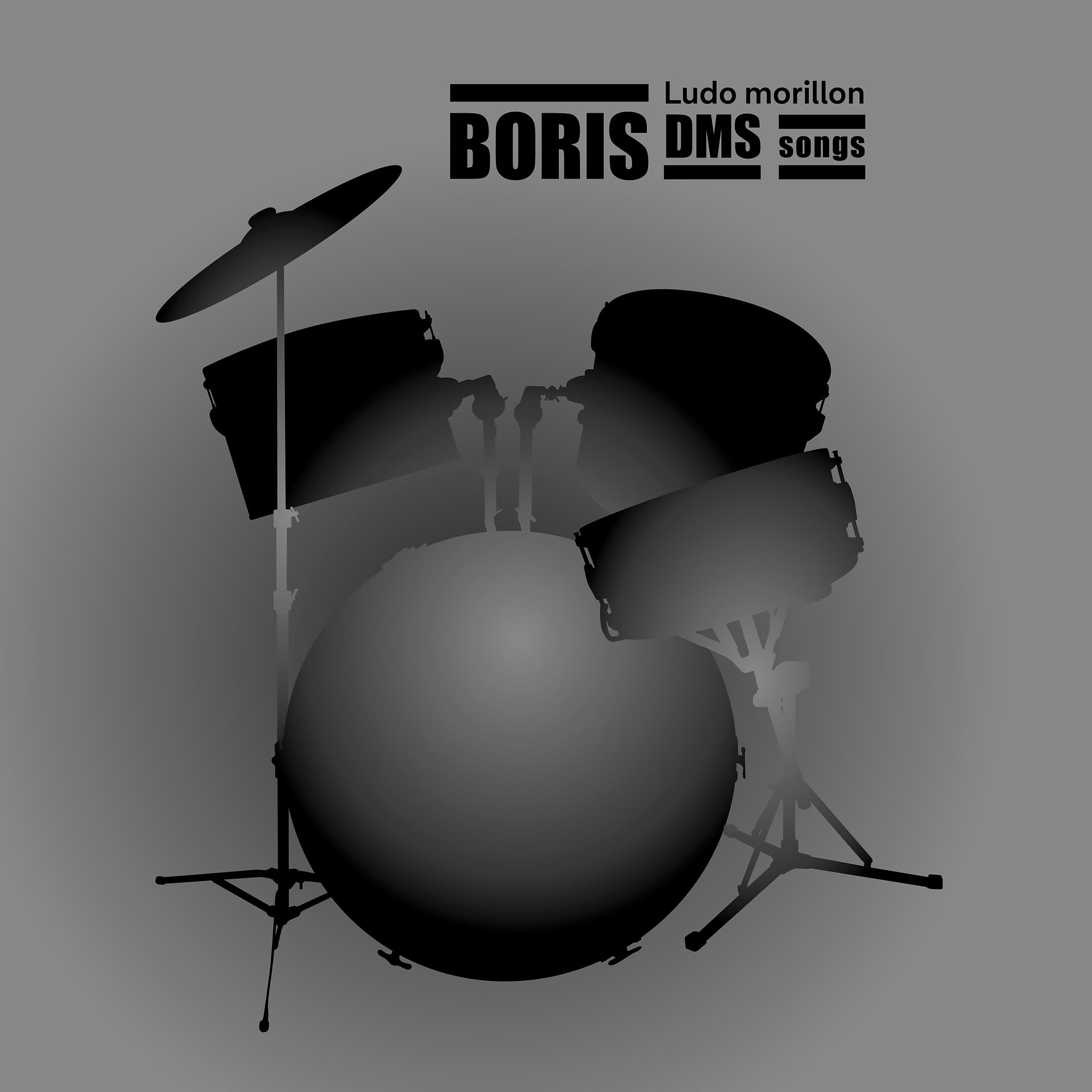 Постер альбома Boris DMS Songs