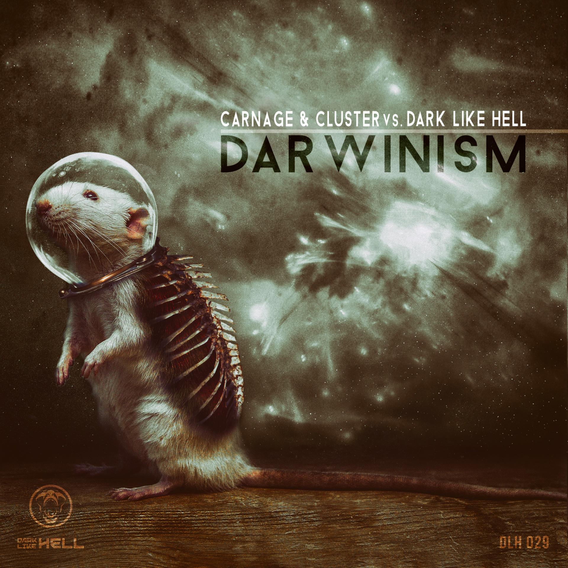 Постер альбома Darwinism