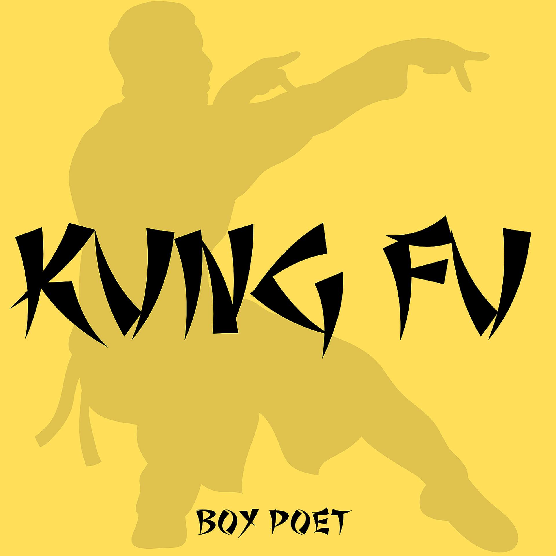 Постер альбома Kung Fu
